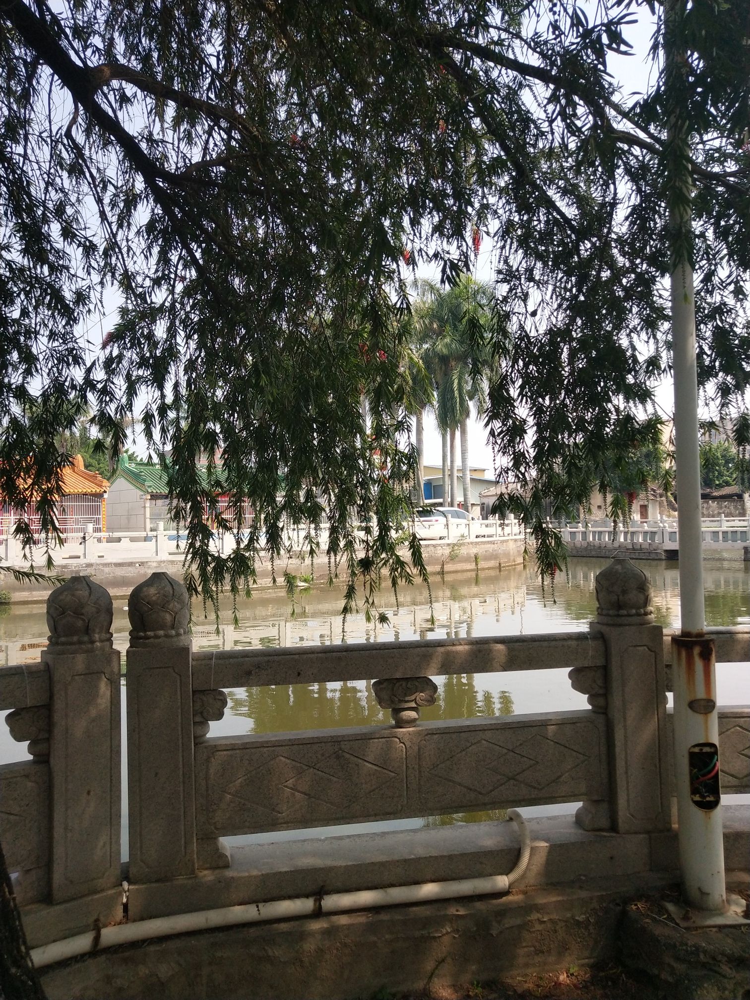 湖东公园旅行图片 1