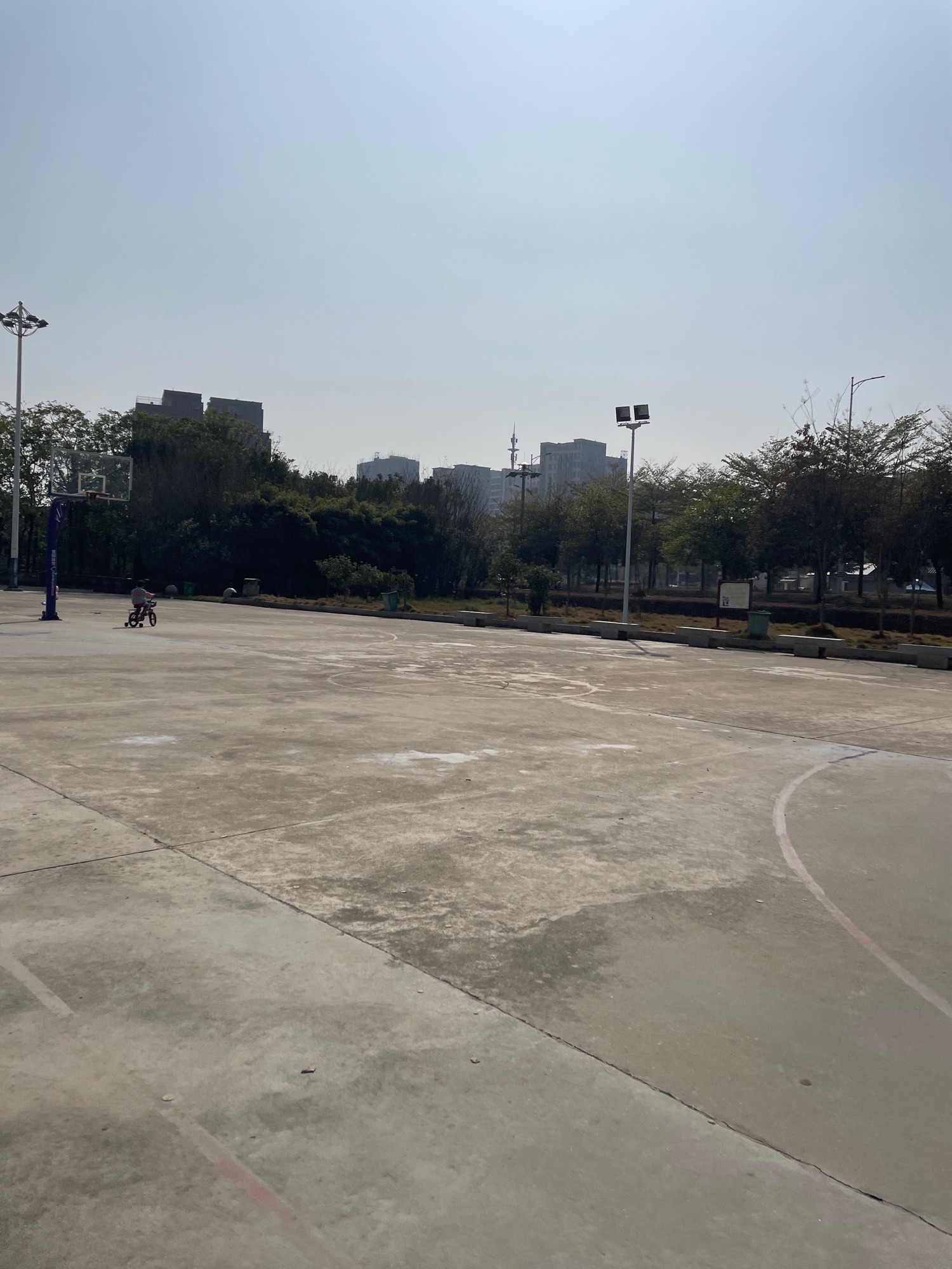 湖东公园旅行图片 2