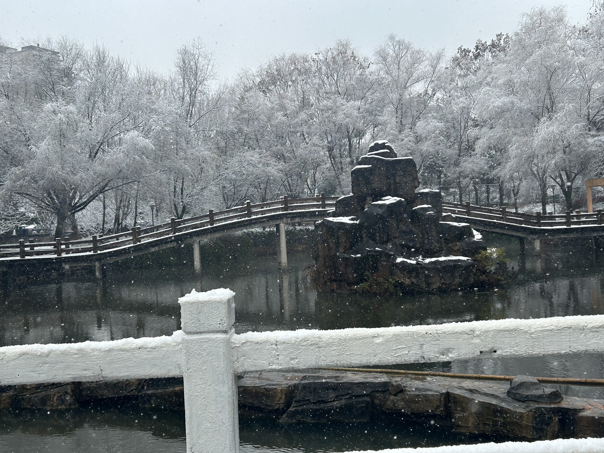 友谊广场旅行图片 1