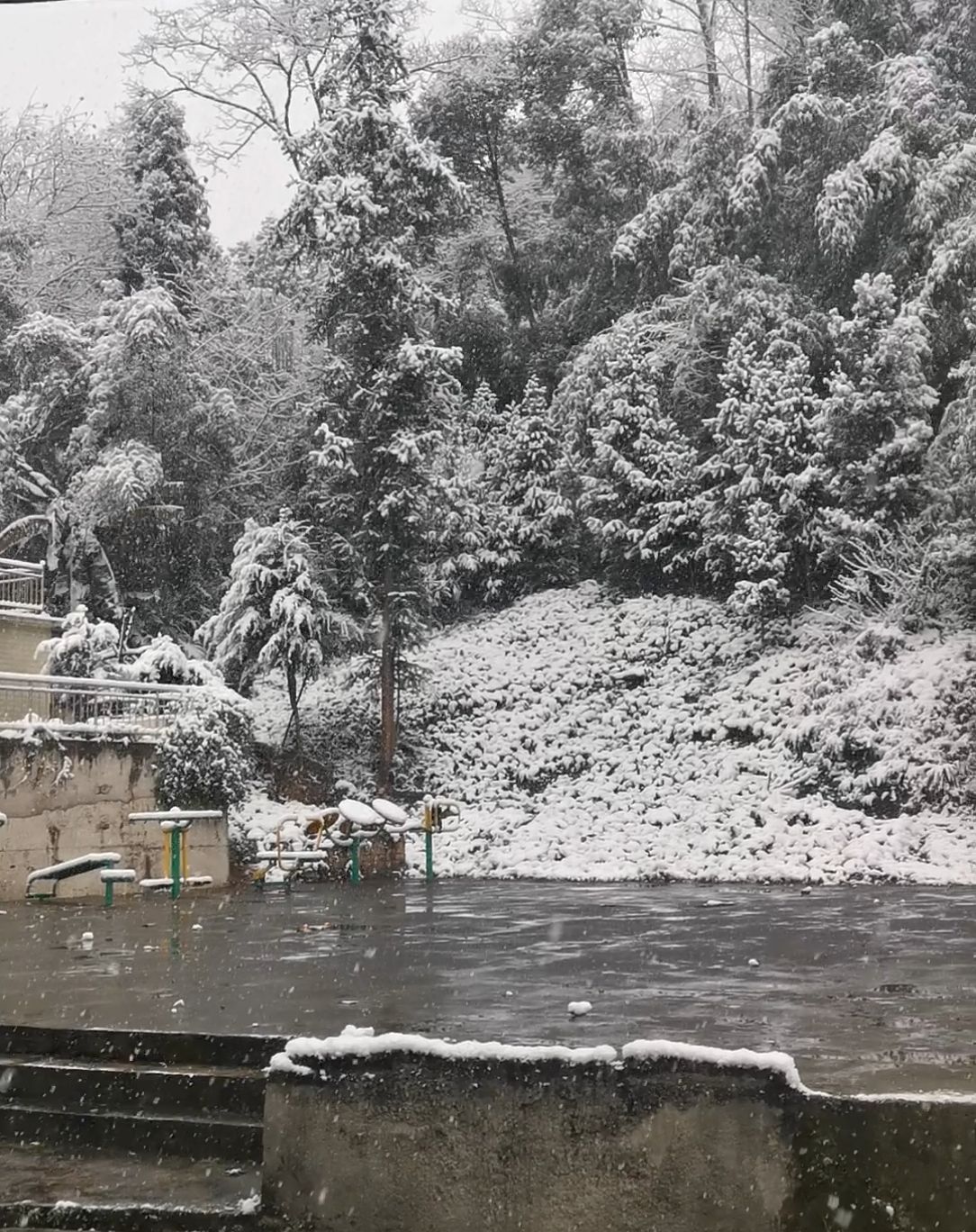 大中山广场旅行图片 2