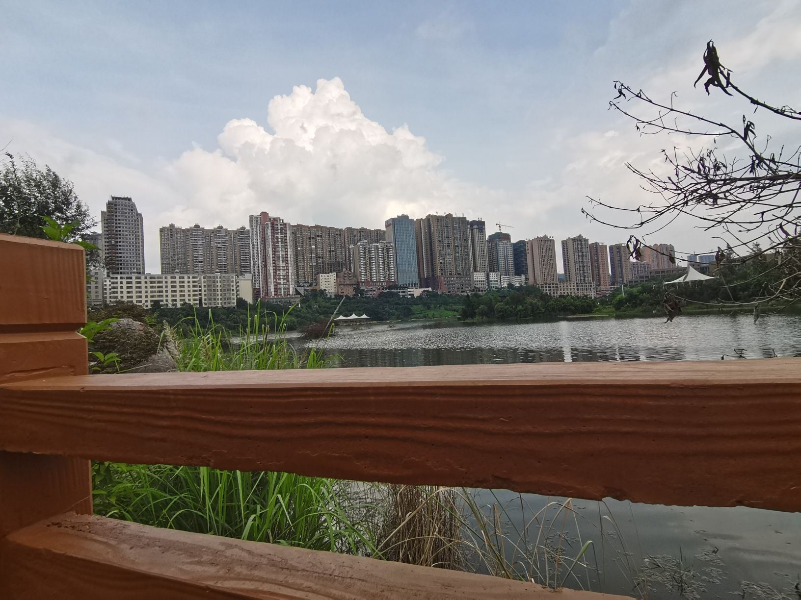 南湖公园旅行图片 2