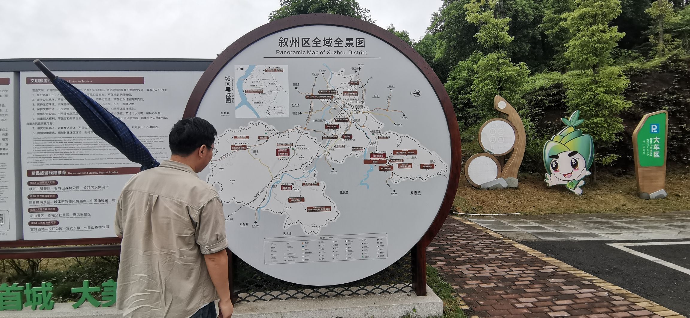 世界樟海旅行图片 3