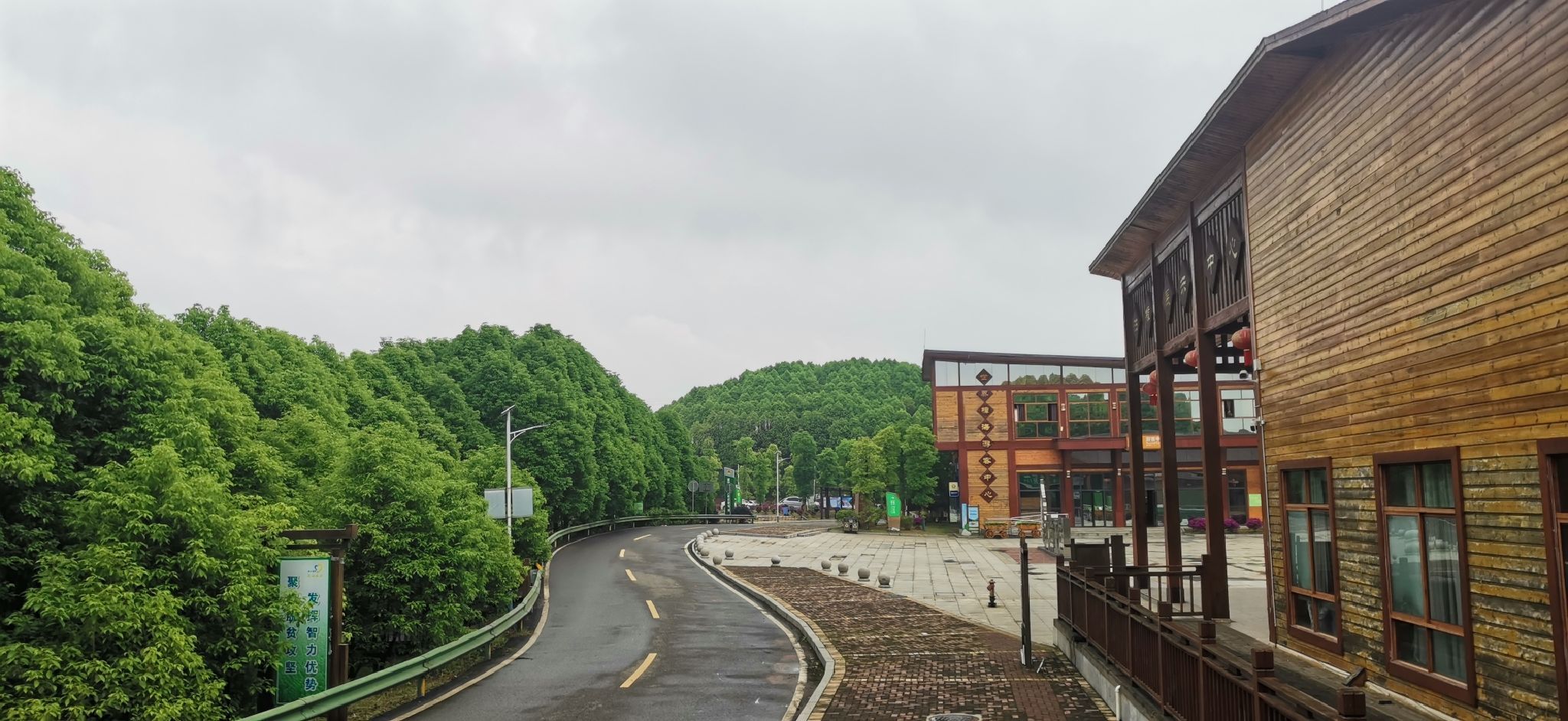 世界樟海旅行图片 1