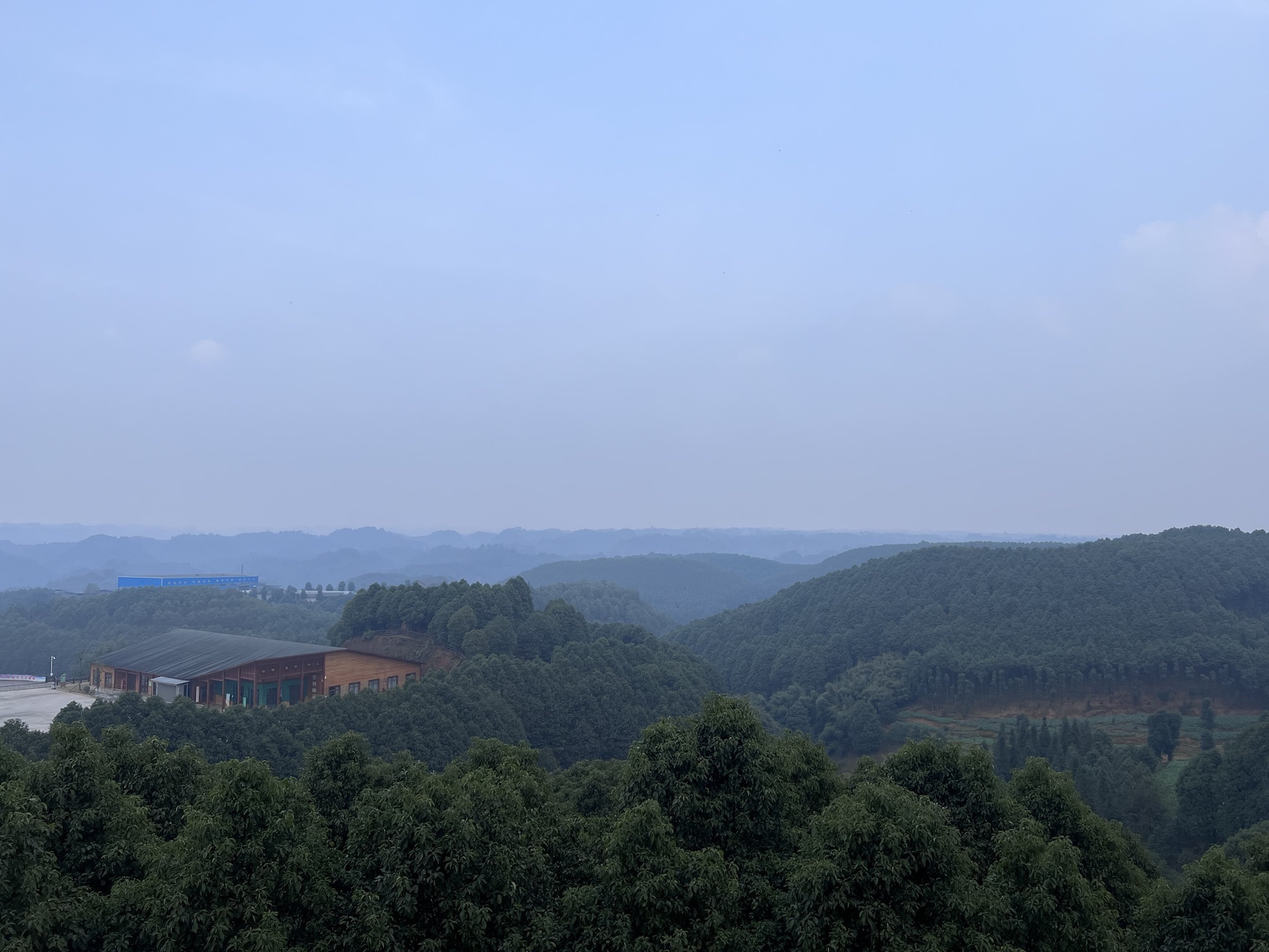 世界樟海旅行图片 2