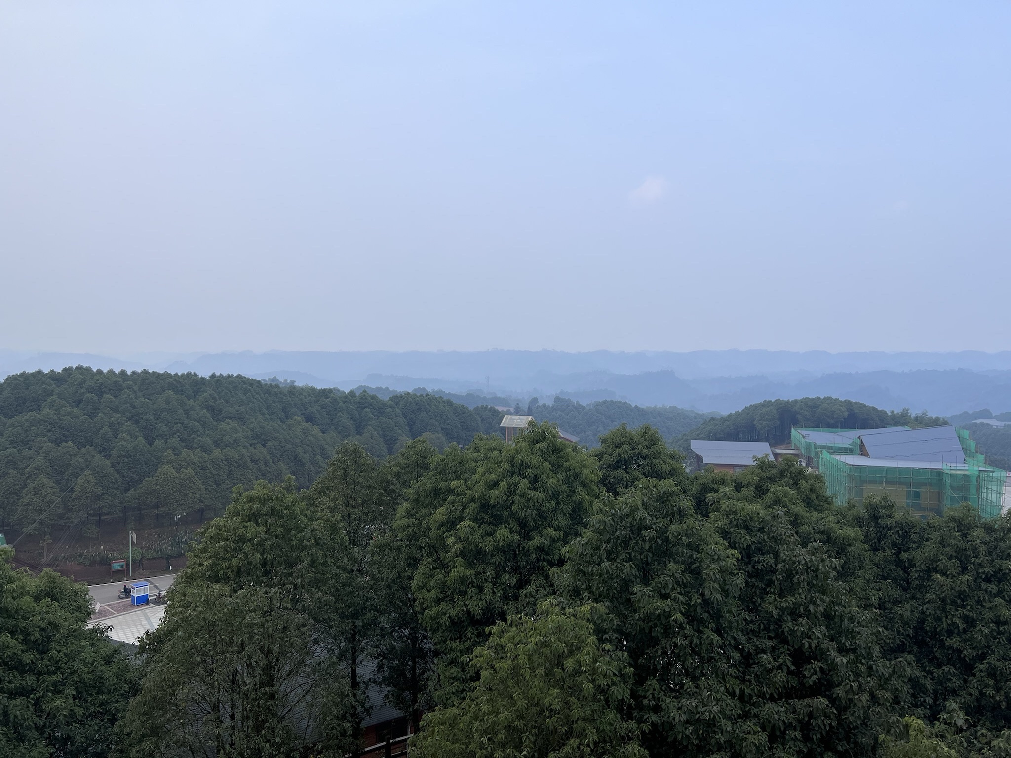 世界樟海旅行图片 1