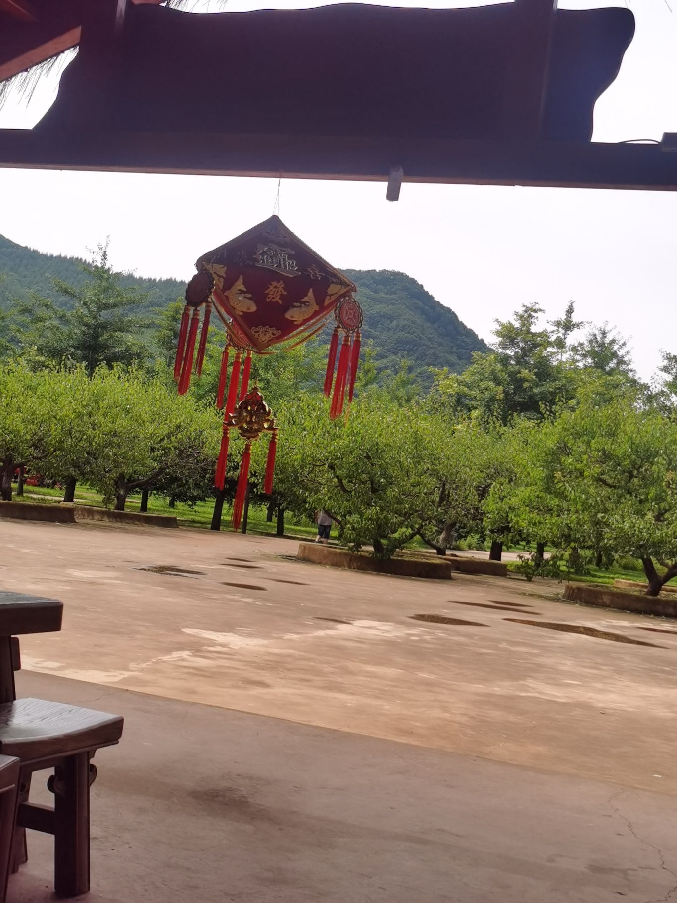 叆河风景区旅行图片 3