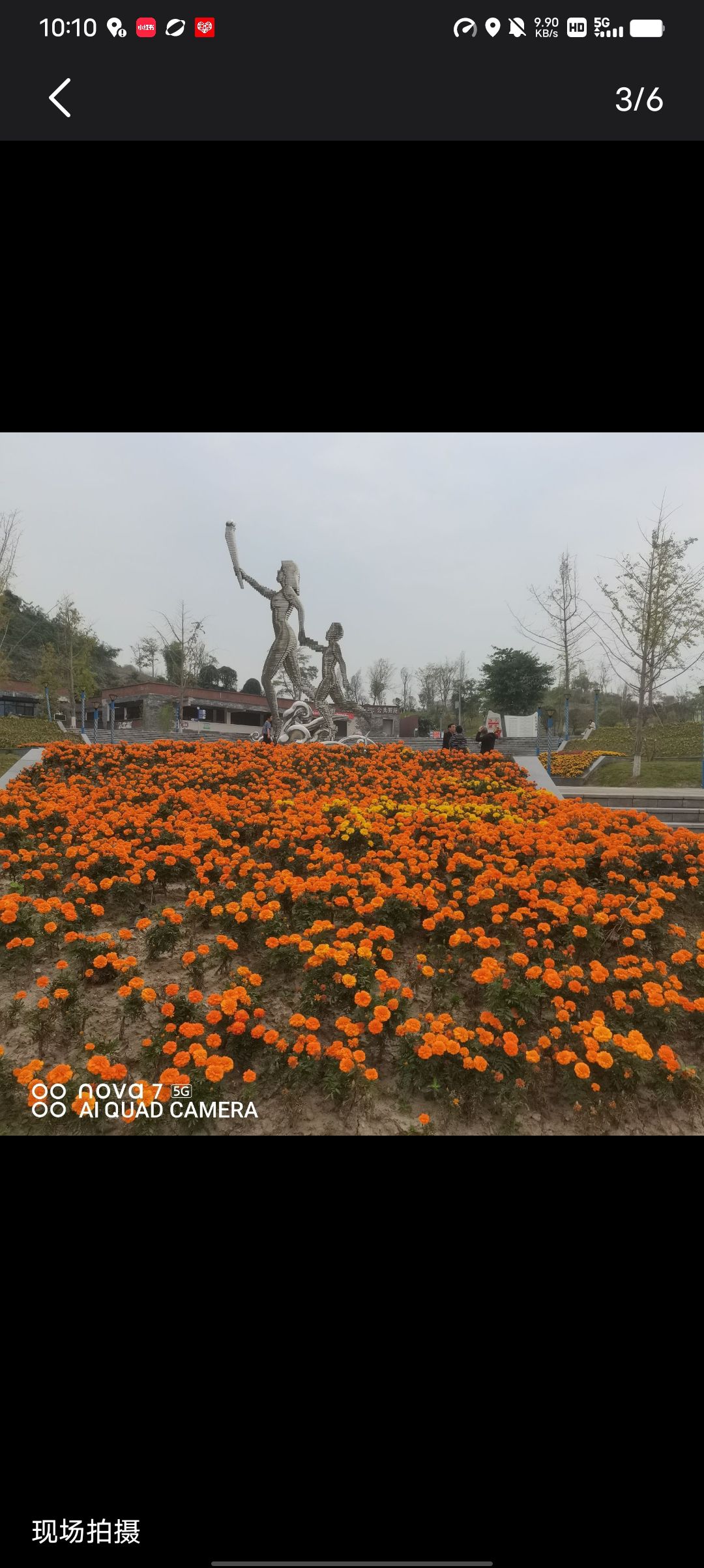 营山体育公园旅行图片 3