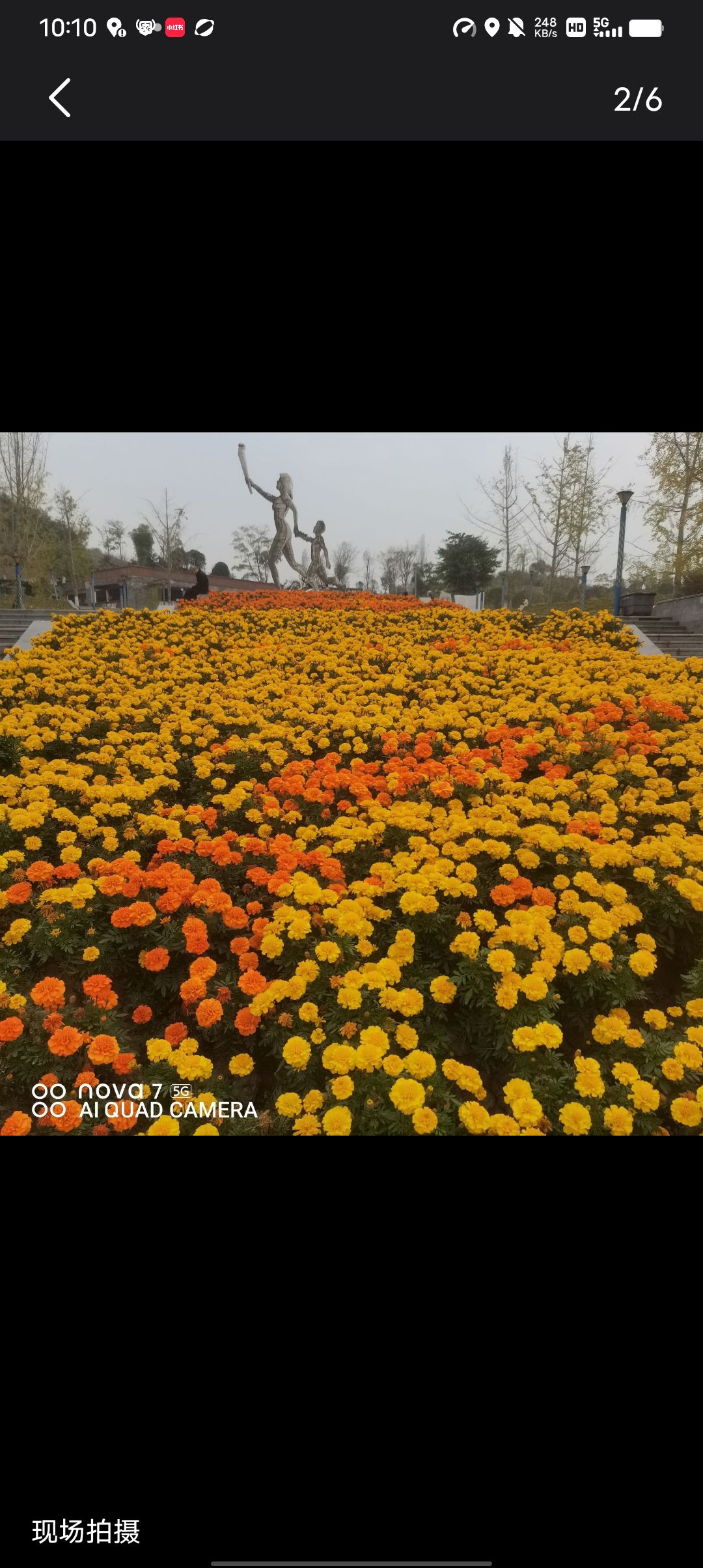 营山体育公园旅行图片 1