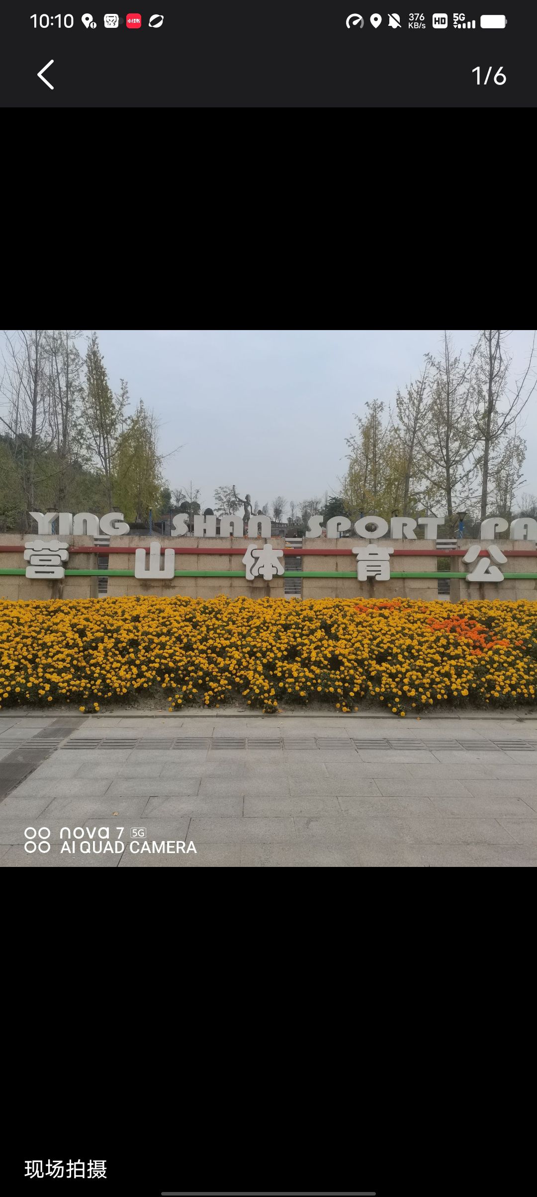 营山体育公园旅行图片 2