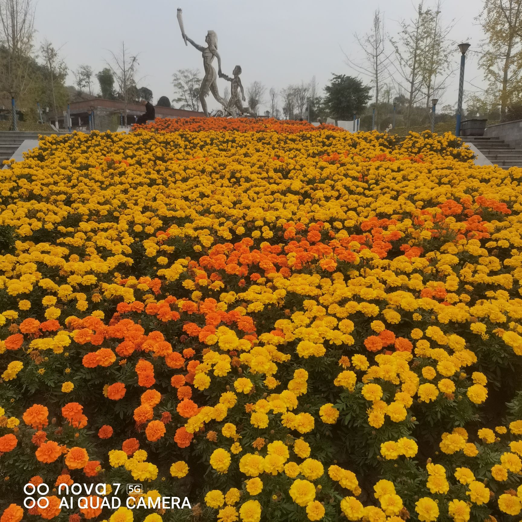 营山体育公园旅行图片 2