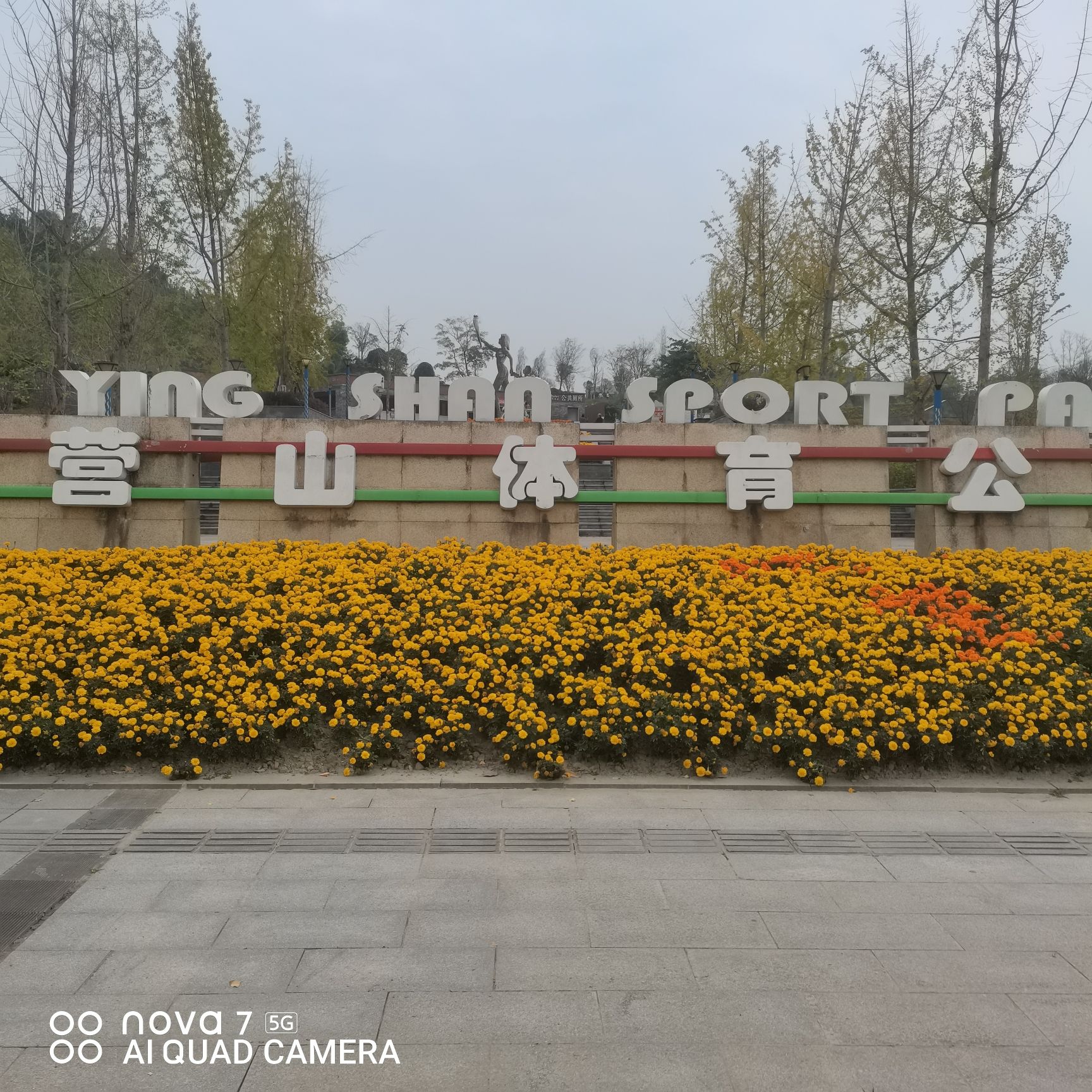 营山体育公园旅行图片 1