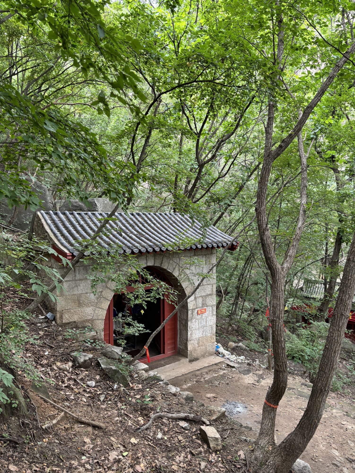 云梦仙境旅行图片 1