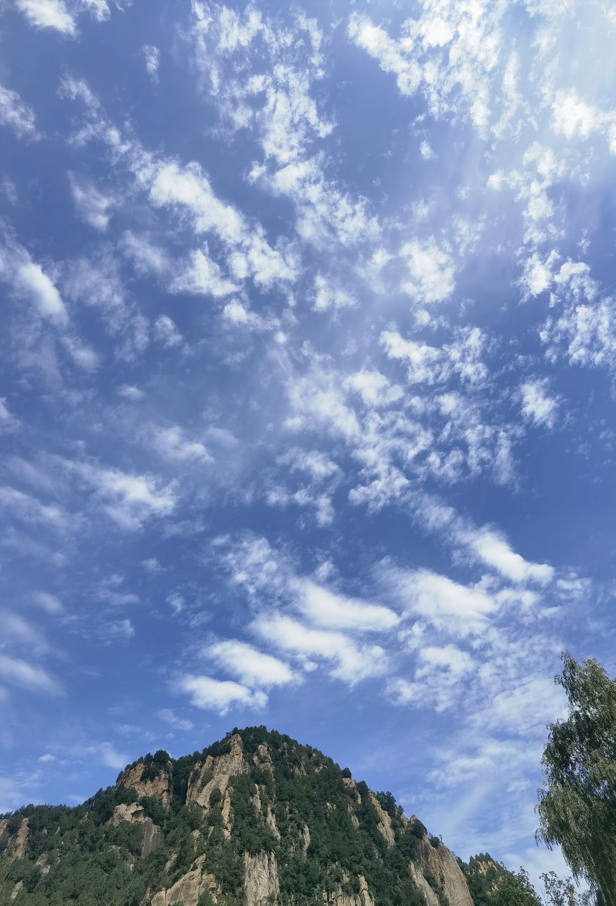 云梦仙境旅行图片 2