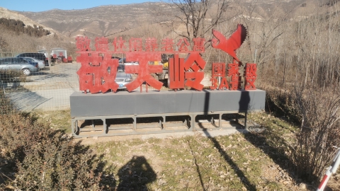 龙凤山敬天岭旅游风景区旅行图片 1