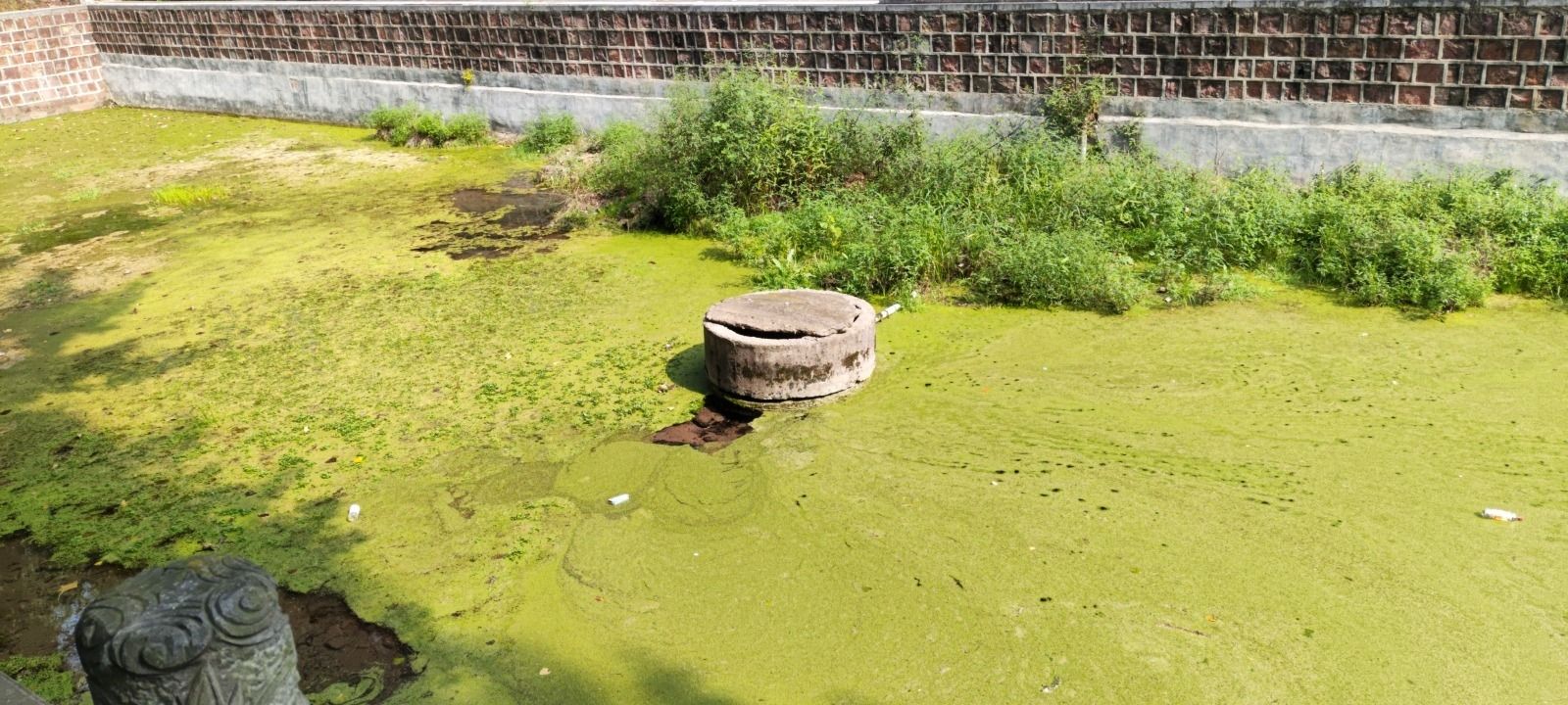 珍珠泉旅行图片 1