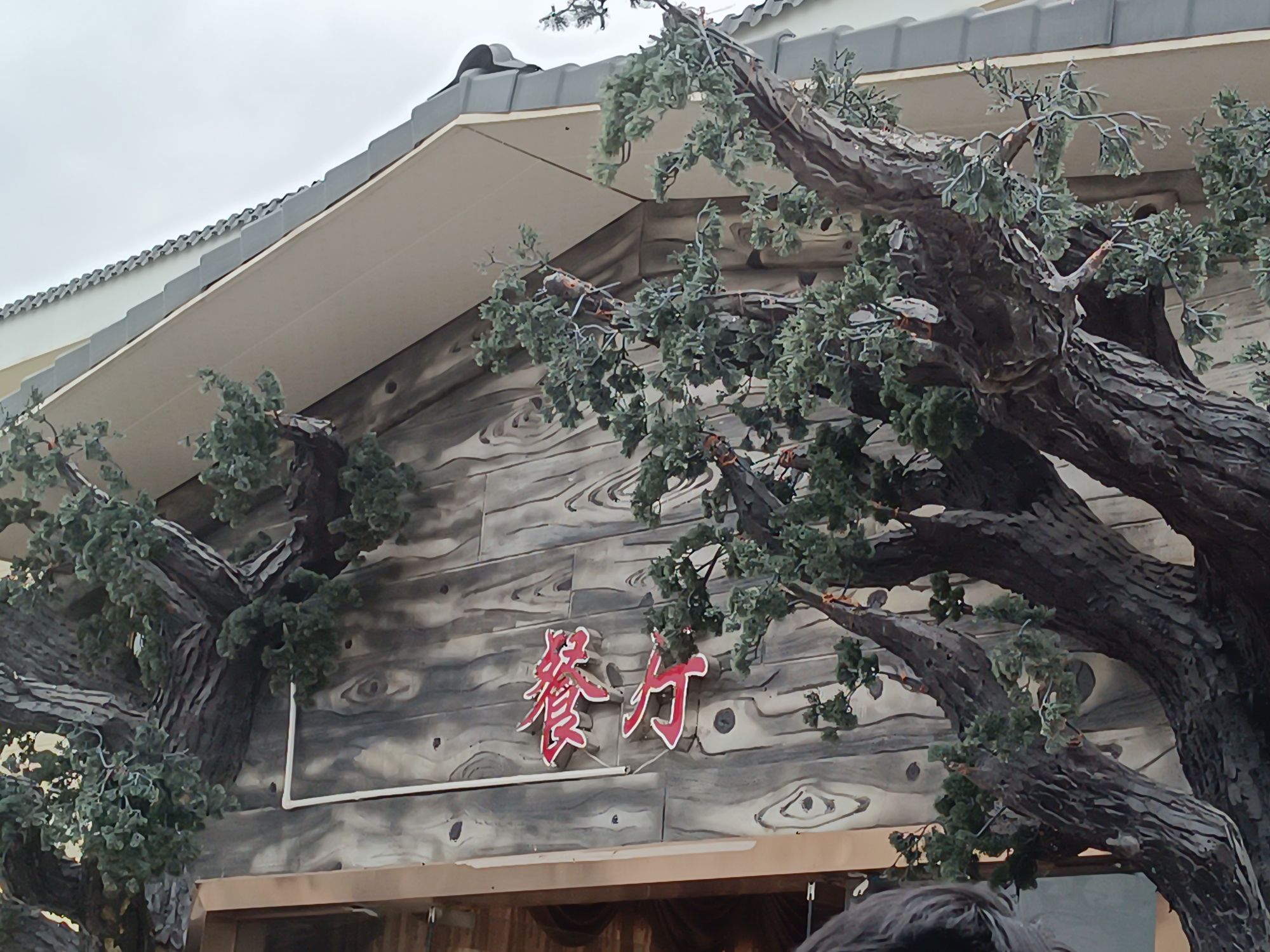 双龙水都度假旅游区旅行图片 1
