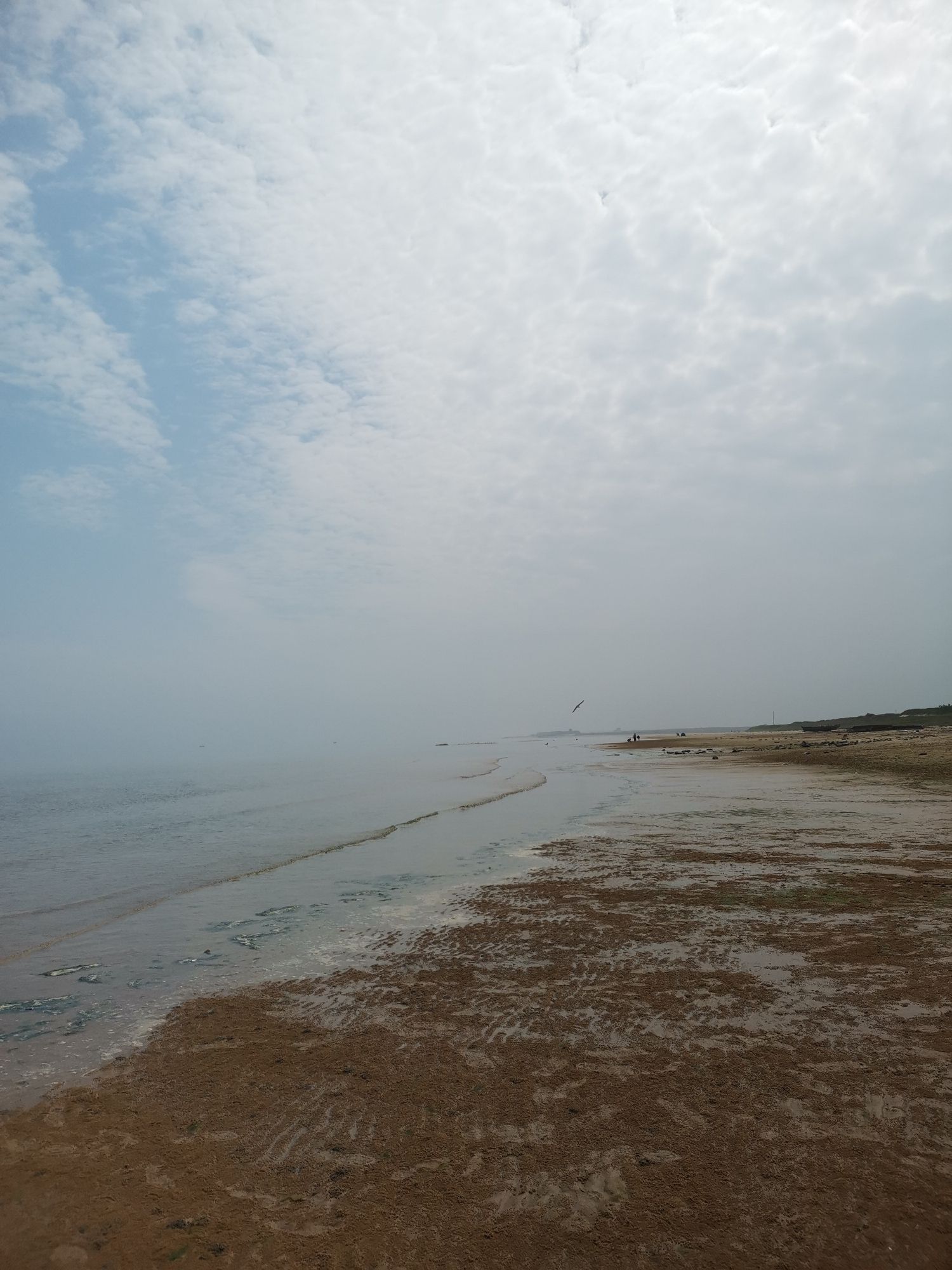 牟平无人海滩旅行图片 3