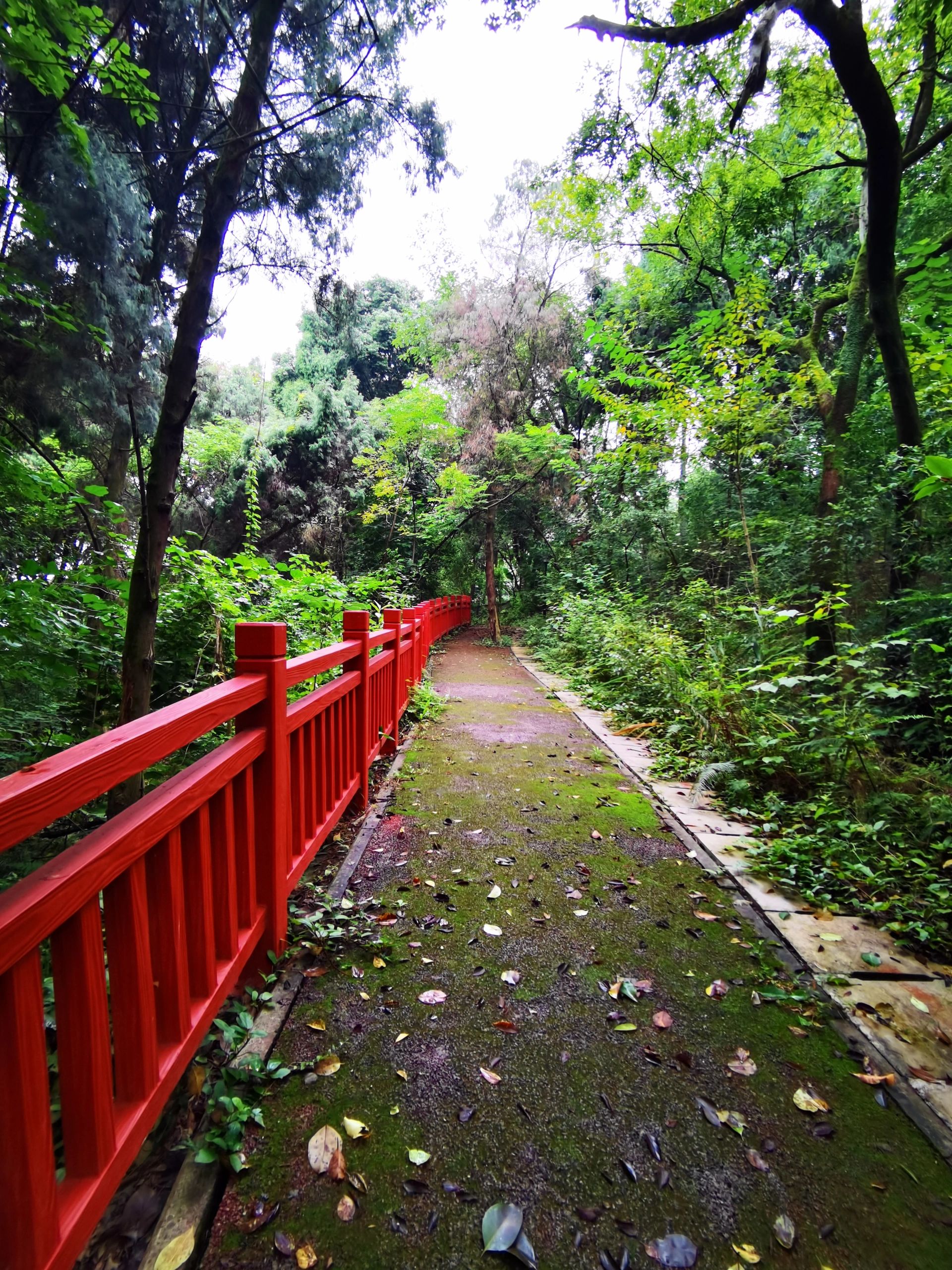 燊海湖公园旅行图片 2