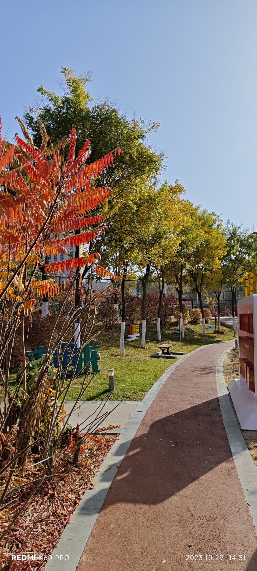 蔚汾公园旅行图片 1