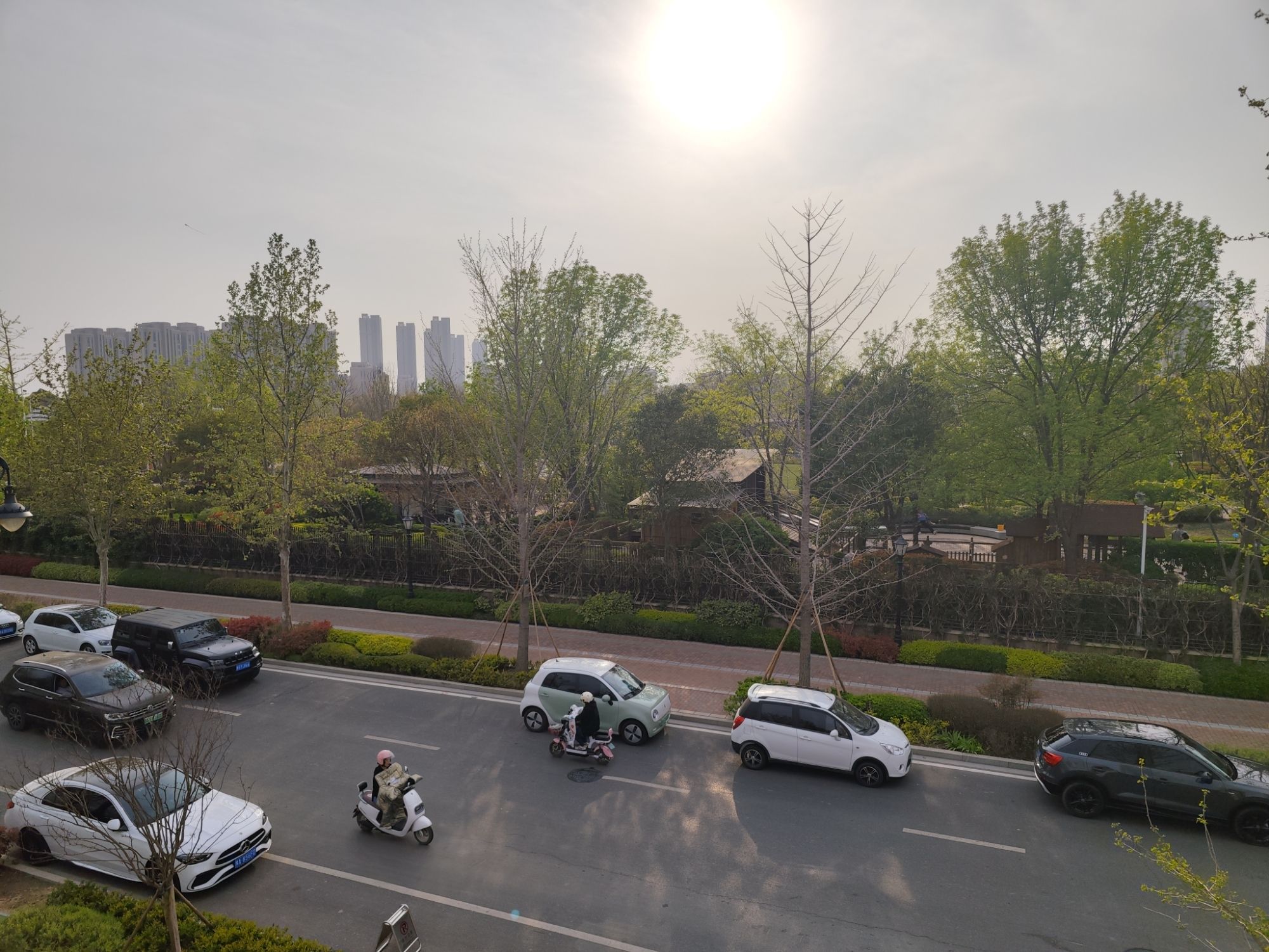 普罗理想国运动公园旅行图片 1