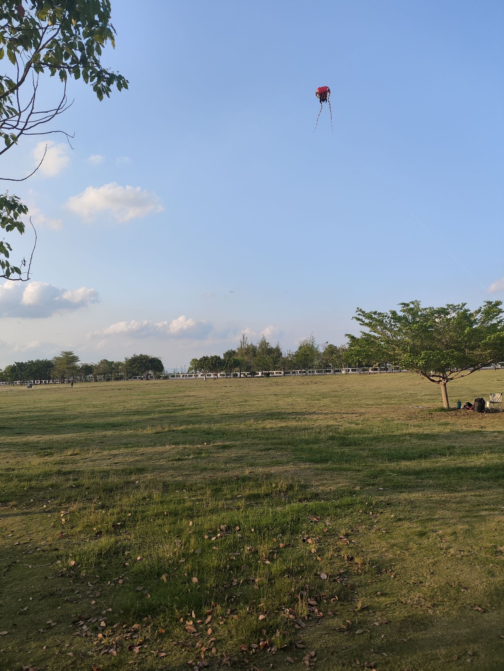 塘埔湿地公园旅行图片 3