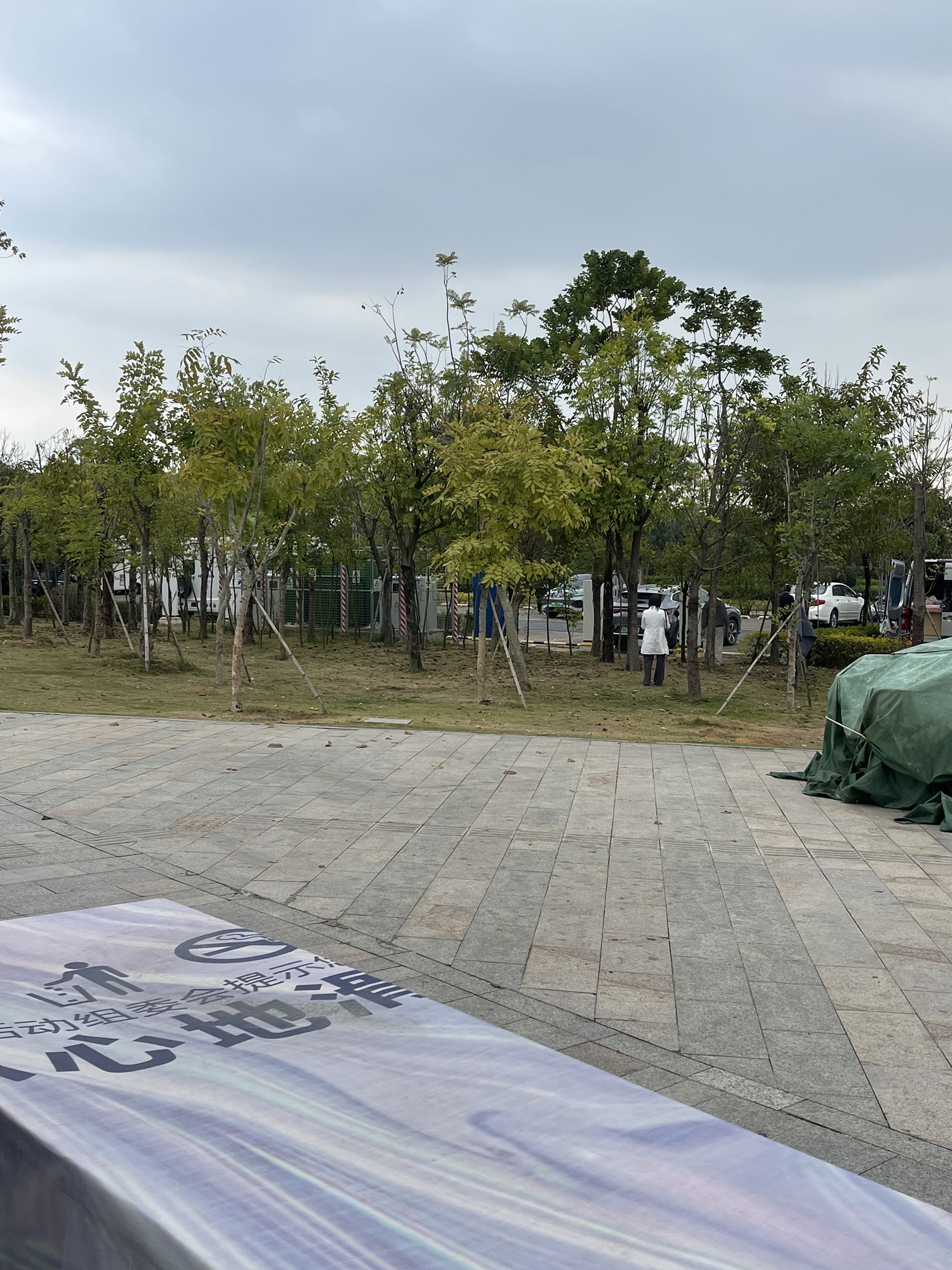 塘埔湿地公园旅行图片 2
