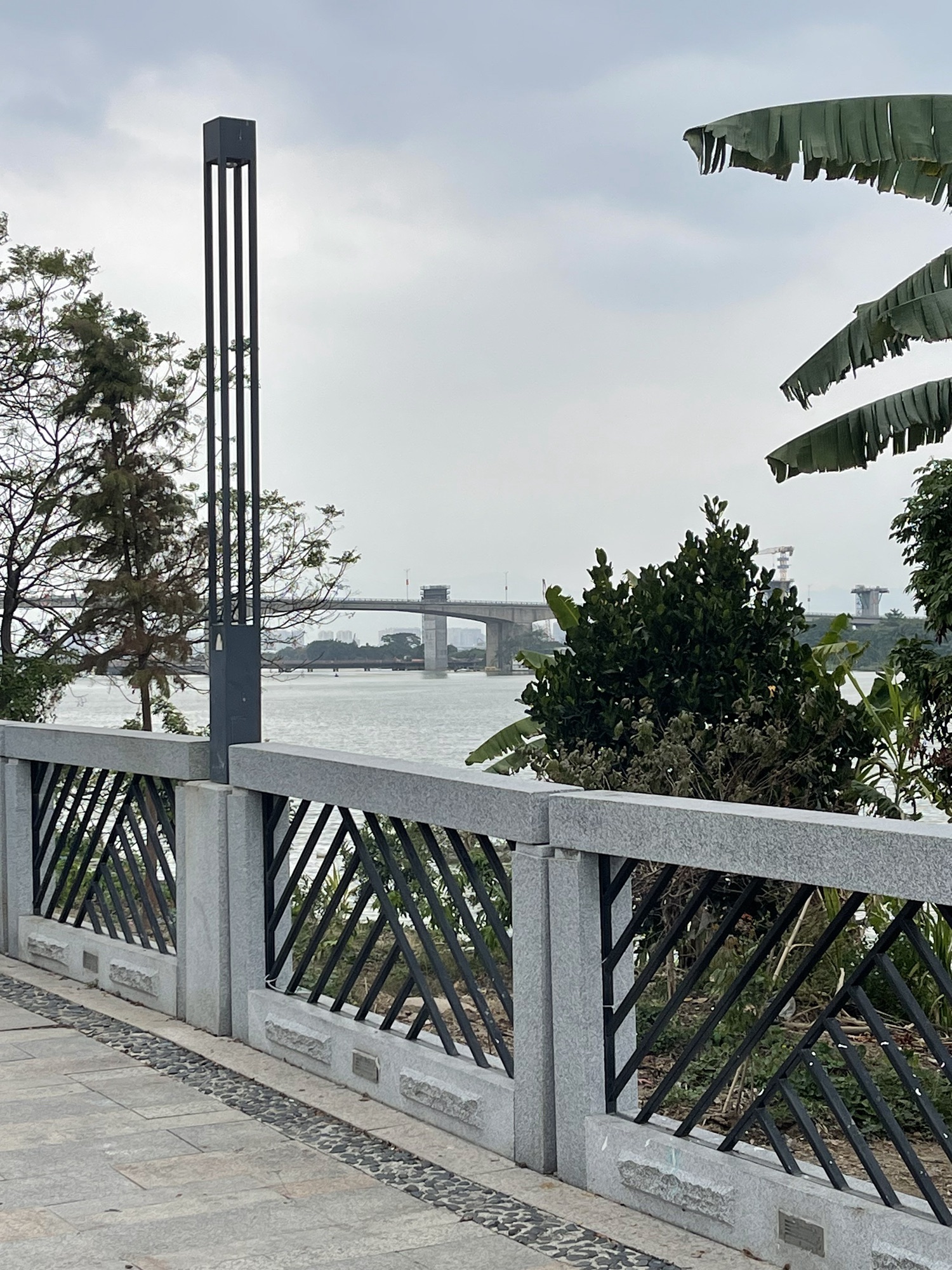 塘埔湿地公园旅行图片 3