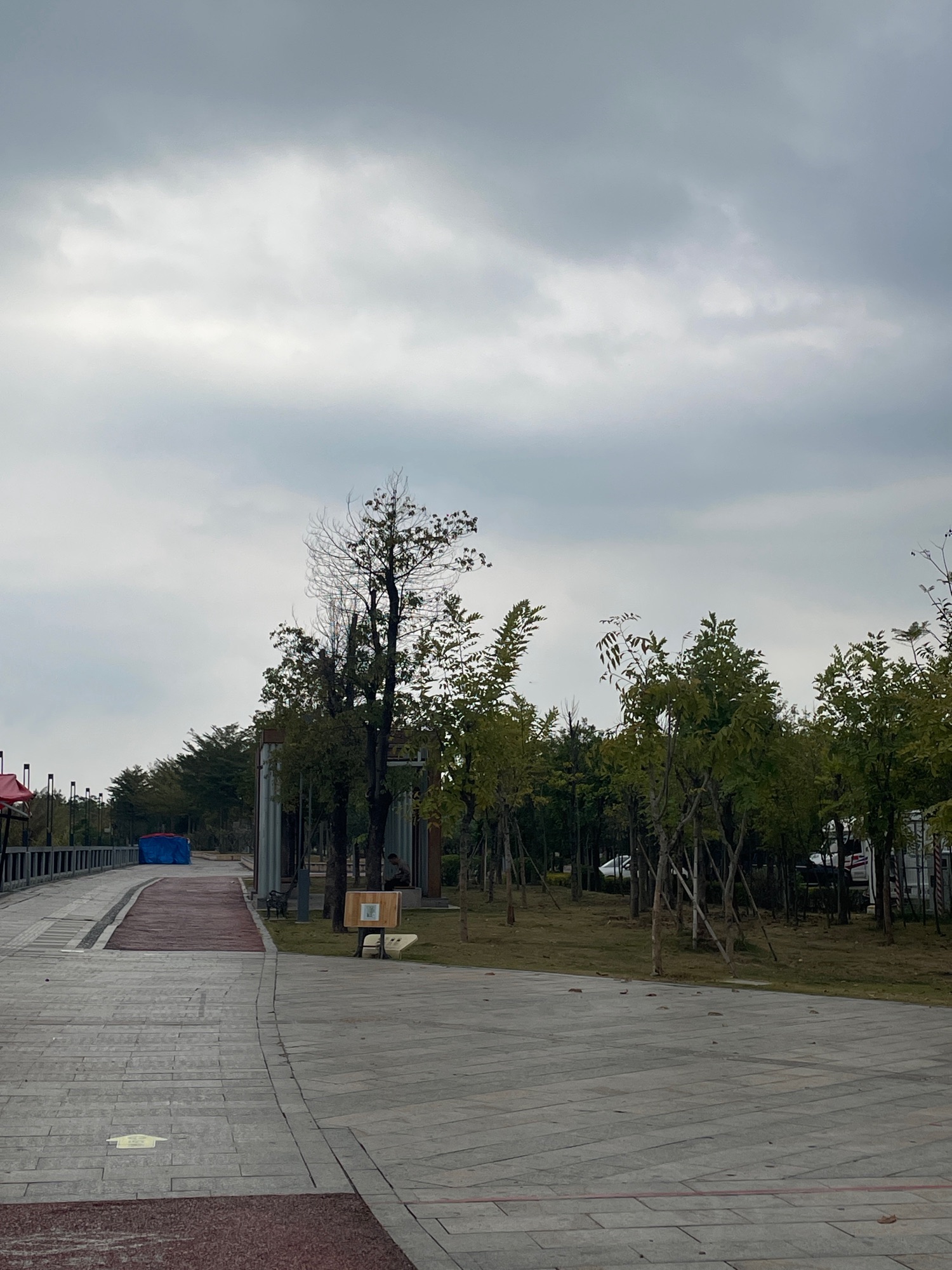 塘埔湿地公园旅行图片 2