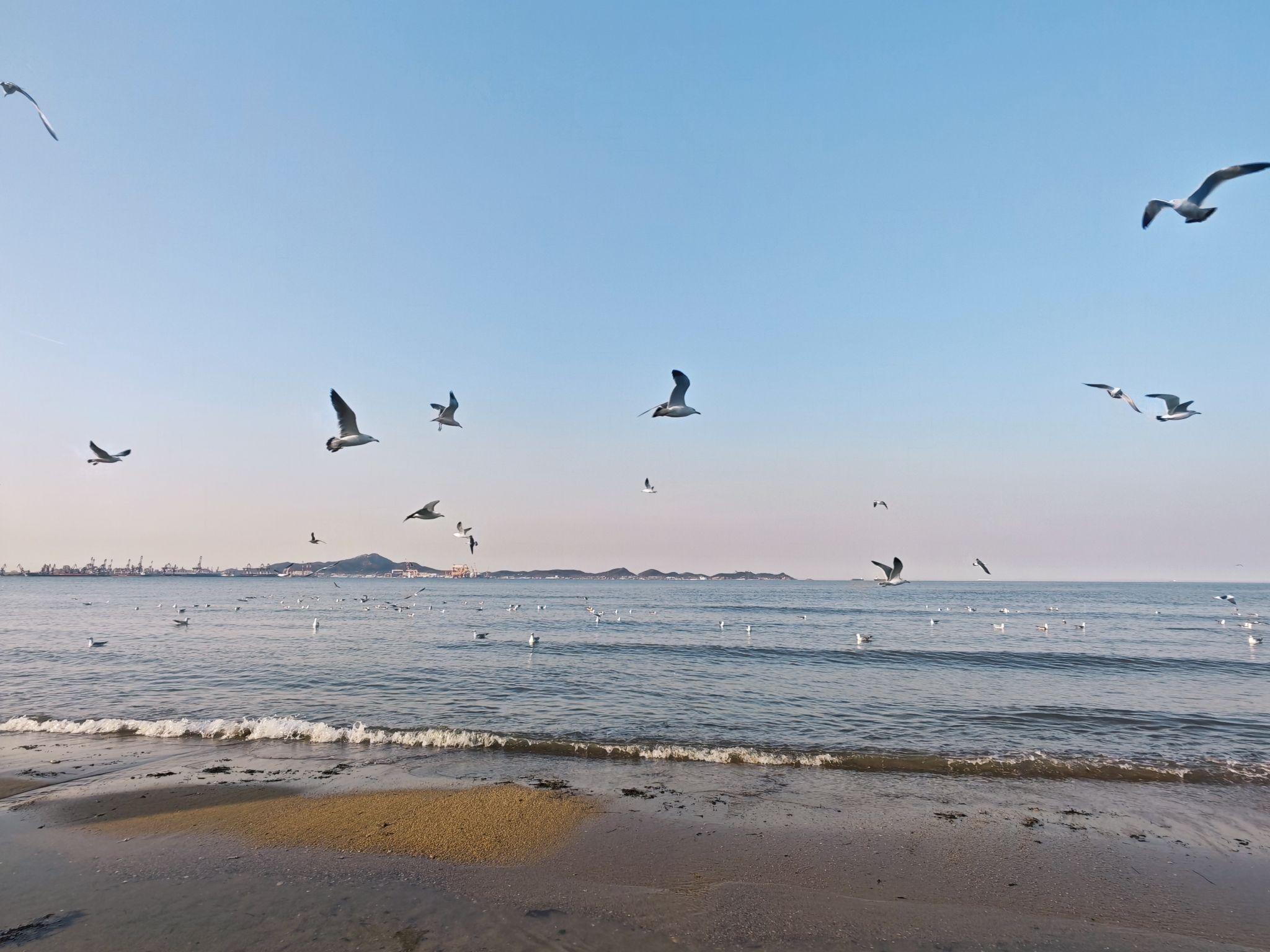 第一海水浴场现场照片 2