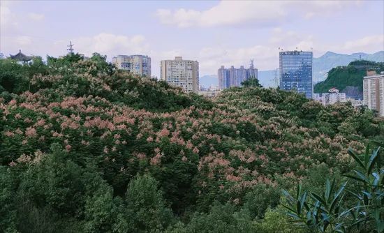大寨子公园旅行图片 1
