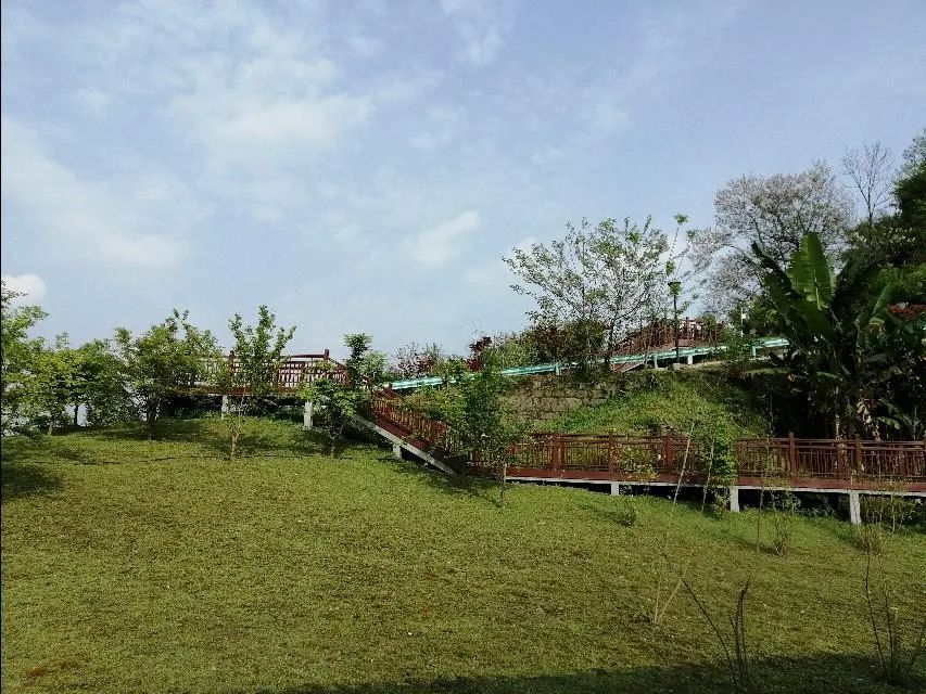 大寨子公园旅行图片 3
