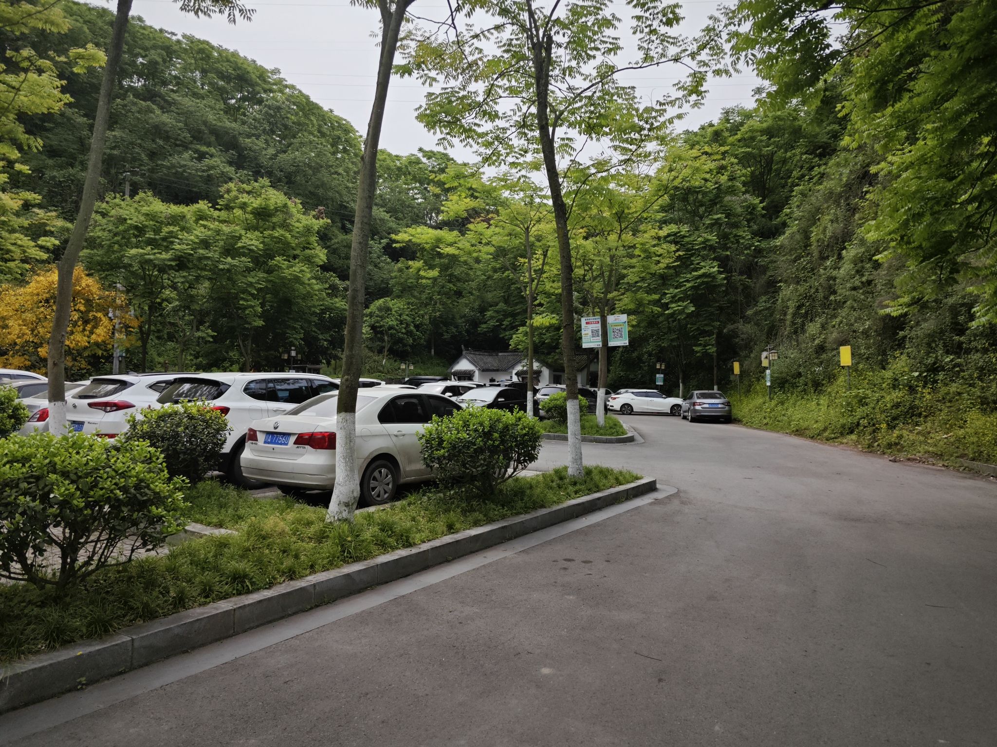 大寨子公园旅行图片 3