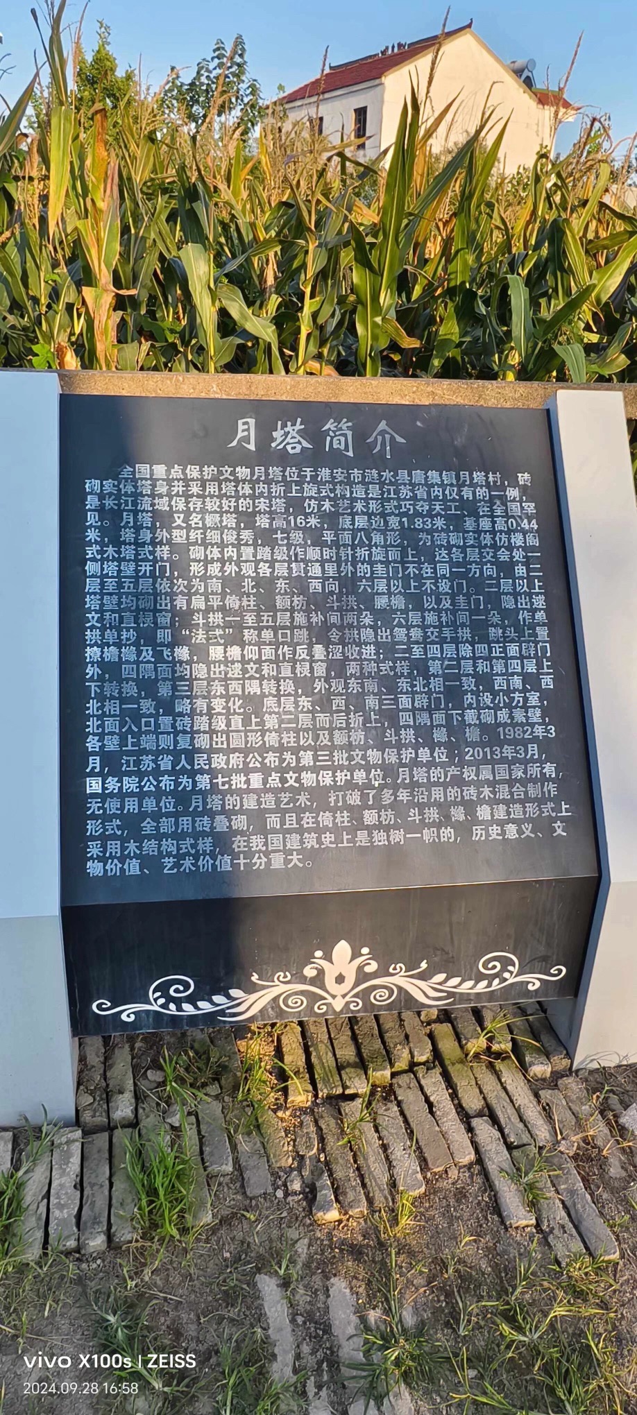 月塔旅行图片 3