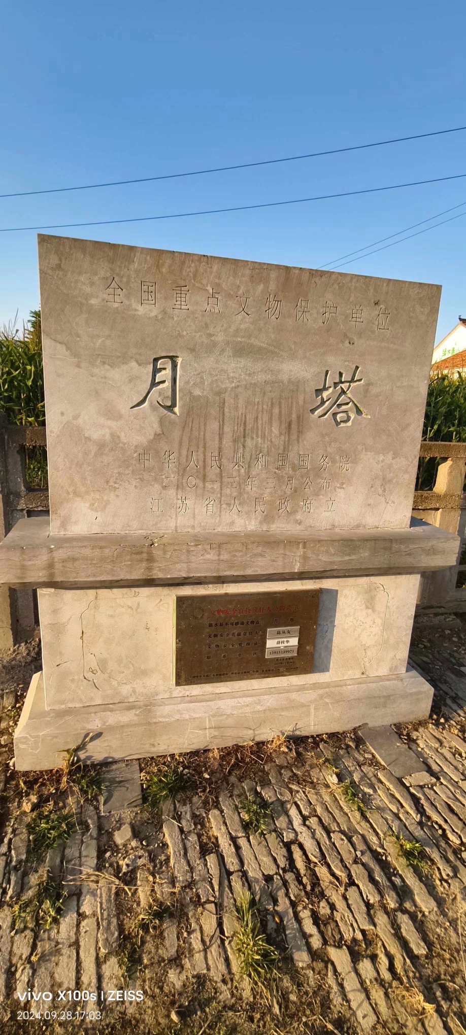 月塔旅行图片 2