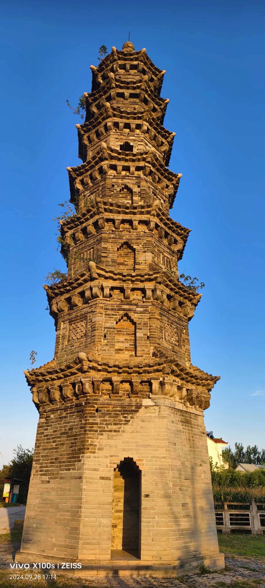 月塔旅行图片 1
