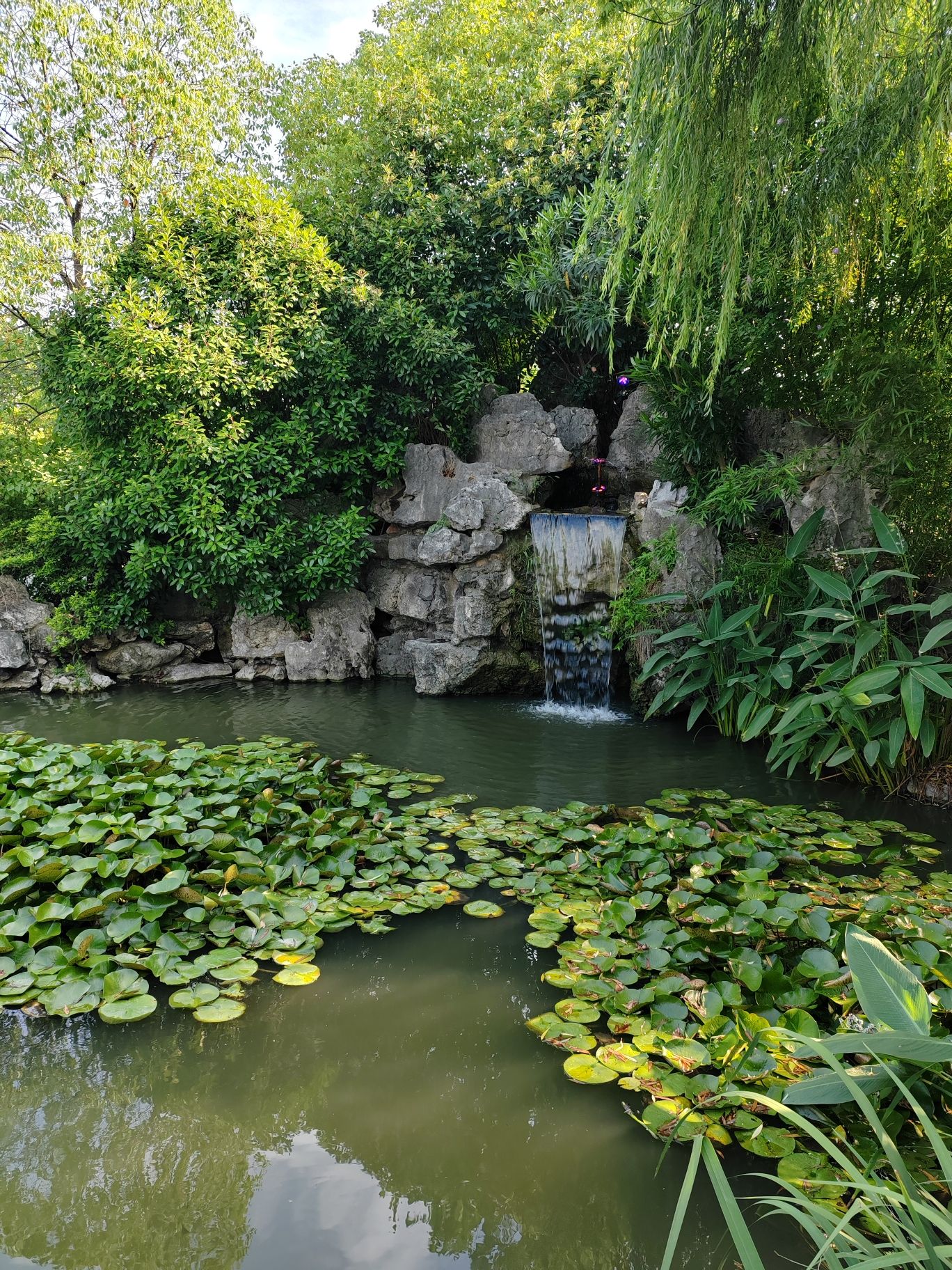 东坡海棠园旅行图片 2