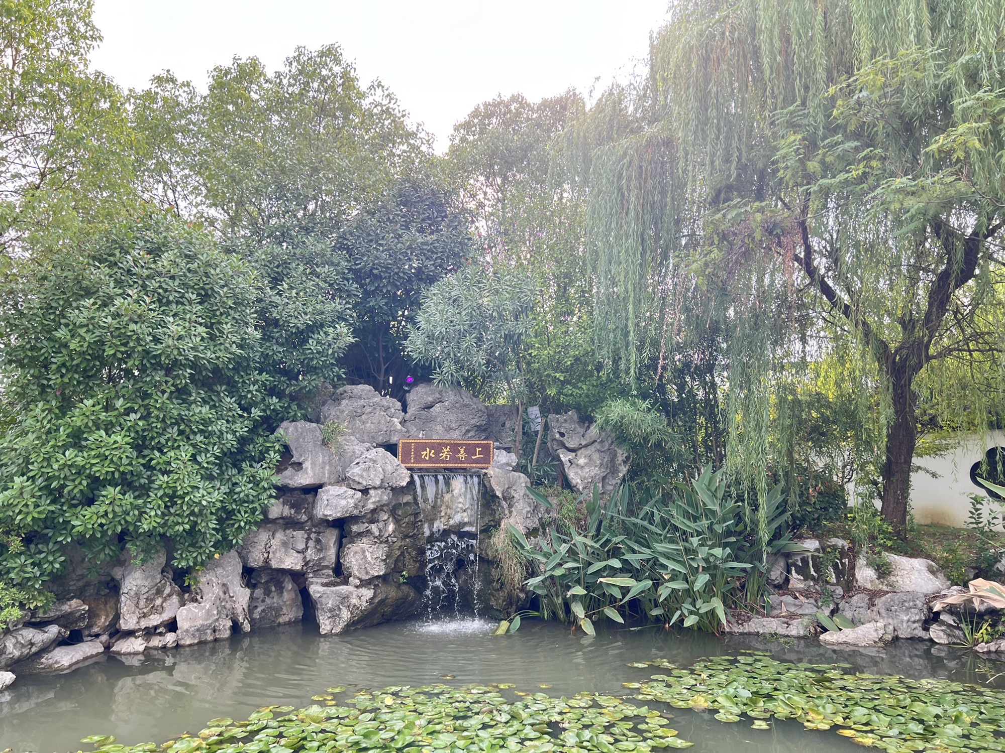 东坡海棠园旅行图片 2