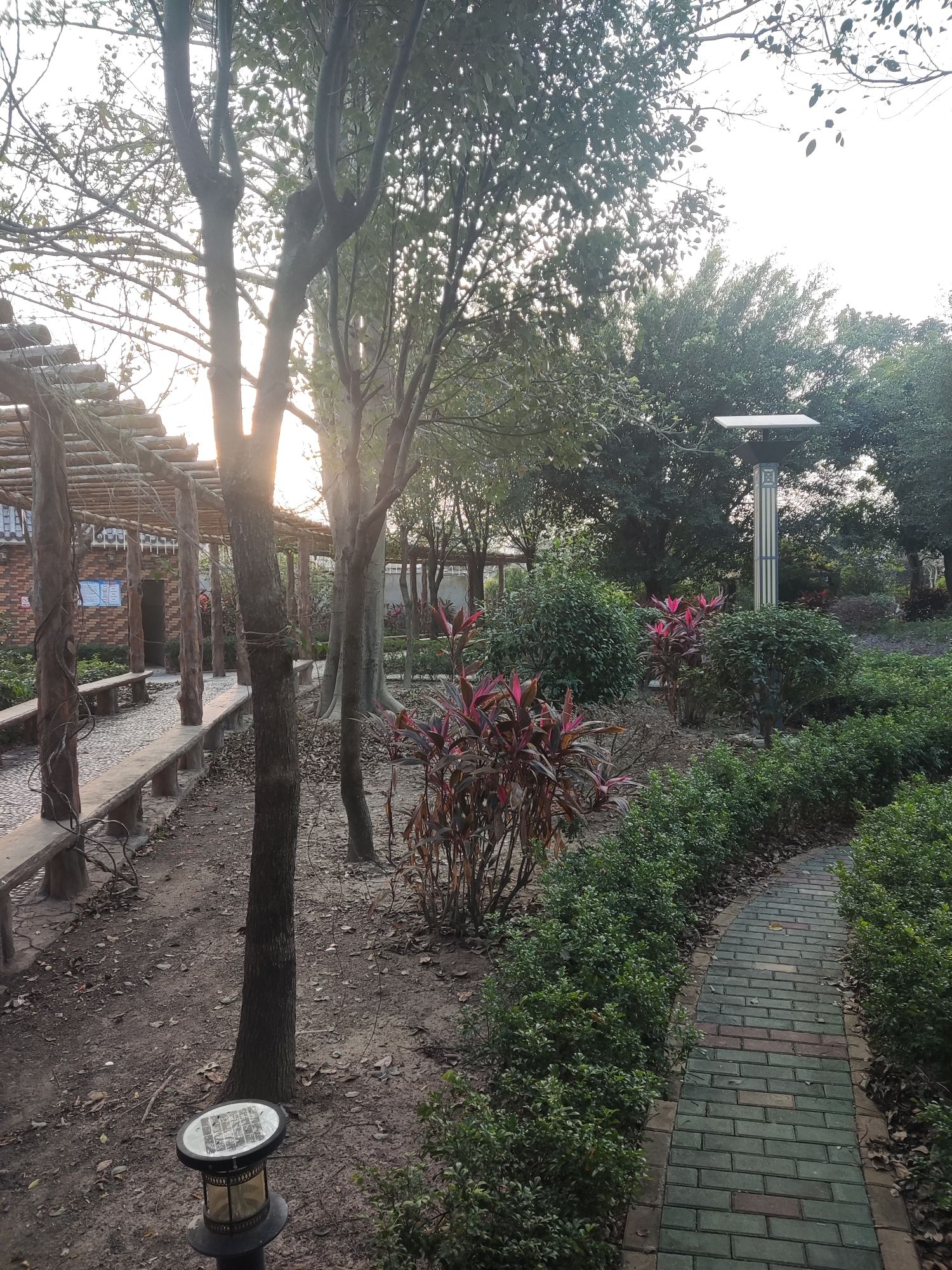 龙庆禅寺莲花公园