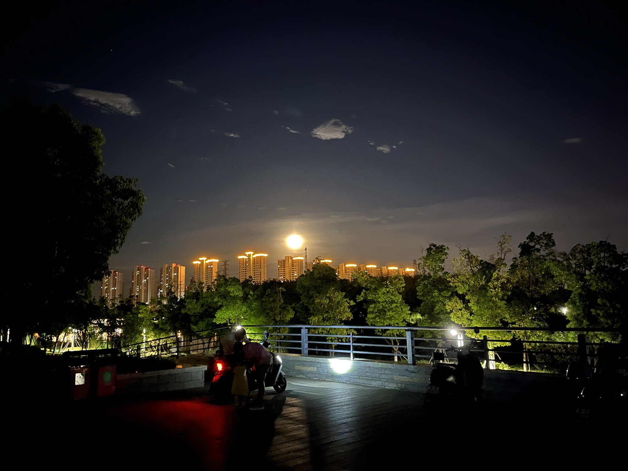 城南湿地公园旅行图片 1