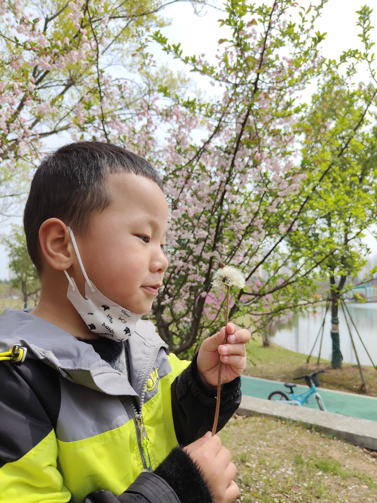城南湿地公园旅行图片 3
