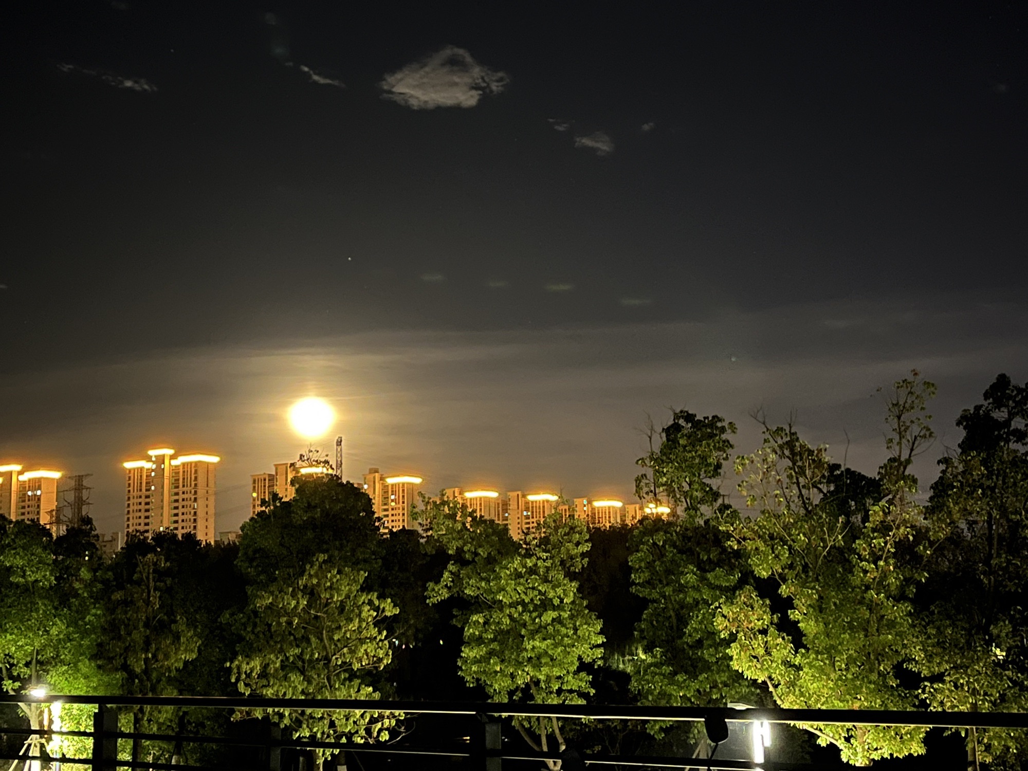 城南湿地公园旅行图片 2