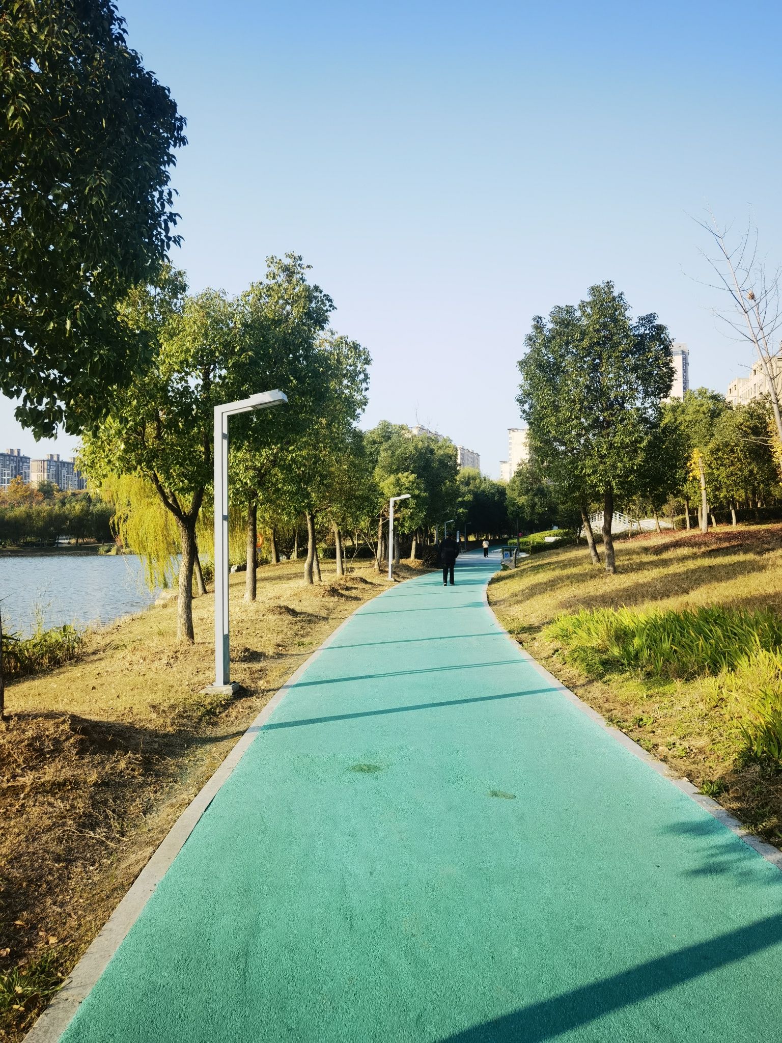 城南湿地公园旅行图片 3