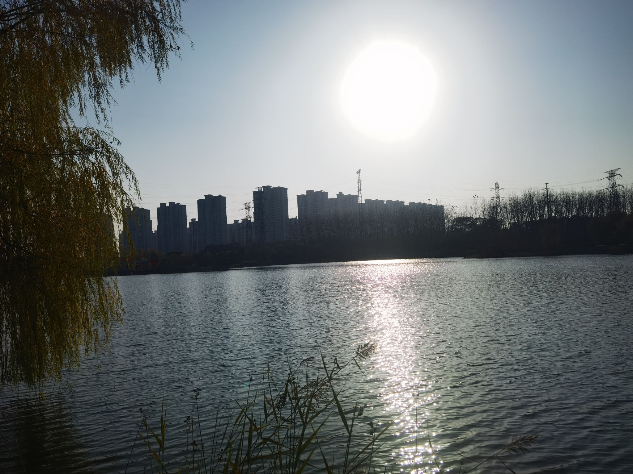 城南湿地公园旅行图片 1