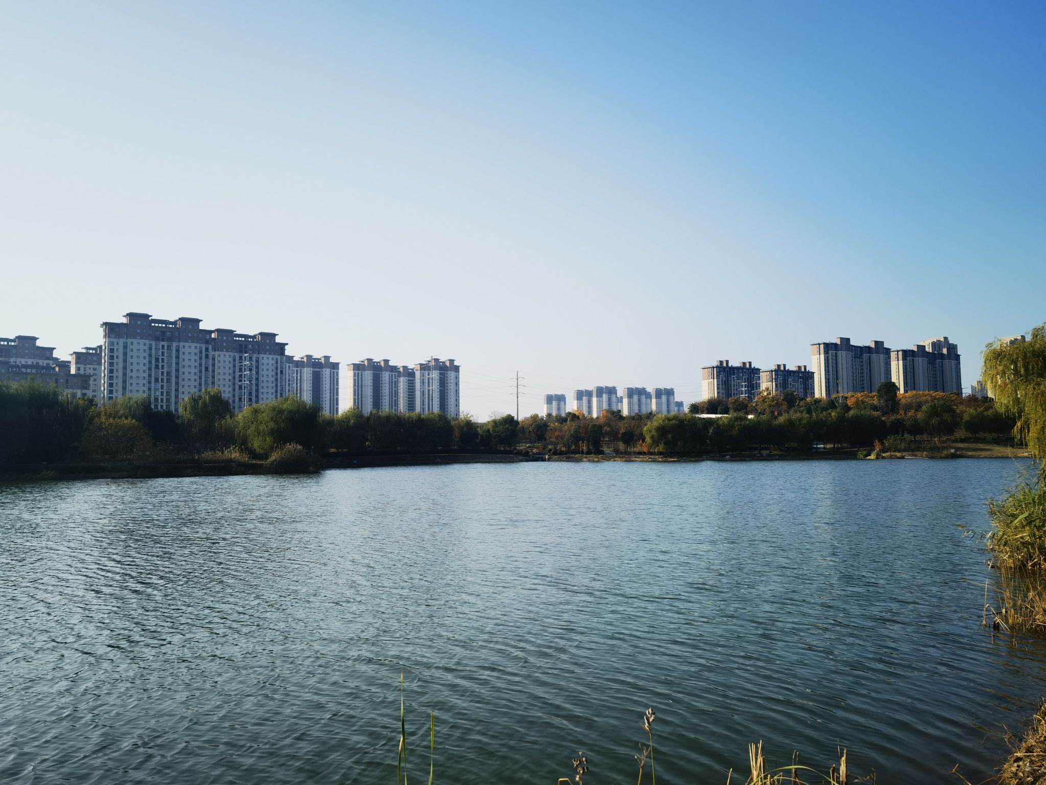 城南湿地公园旅行图片 2