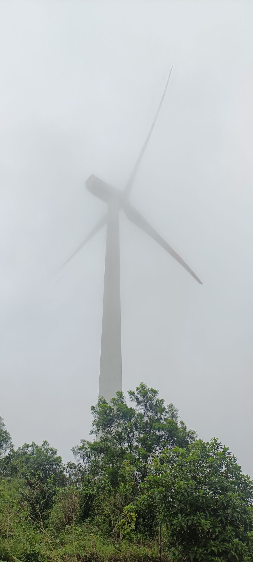 半岛第一峰旅行图片 3