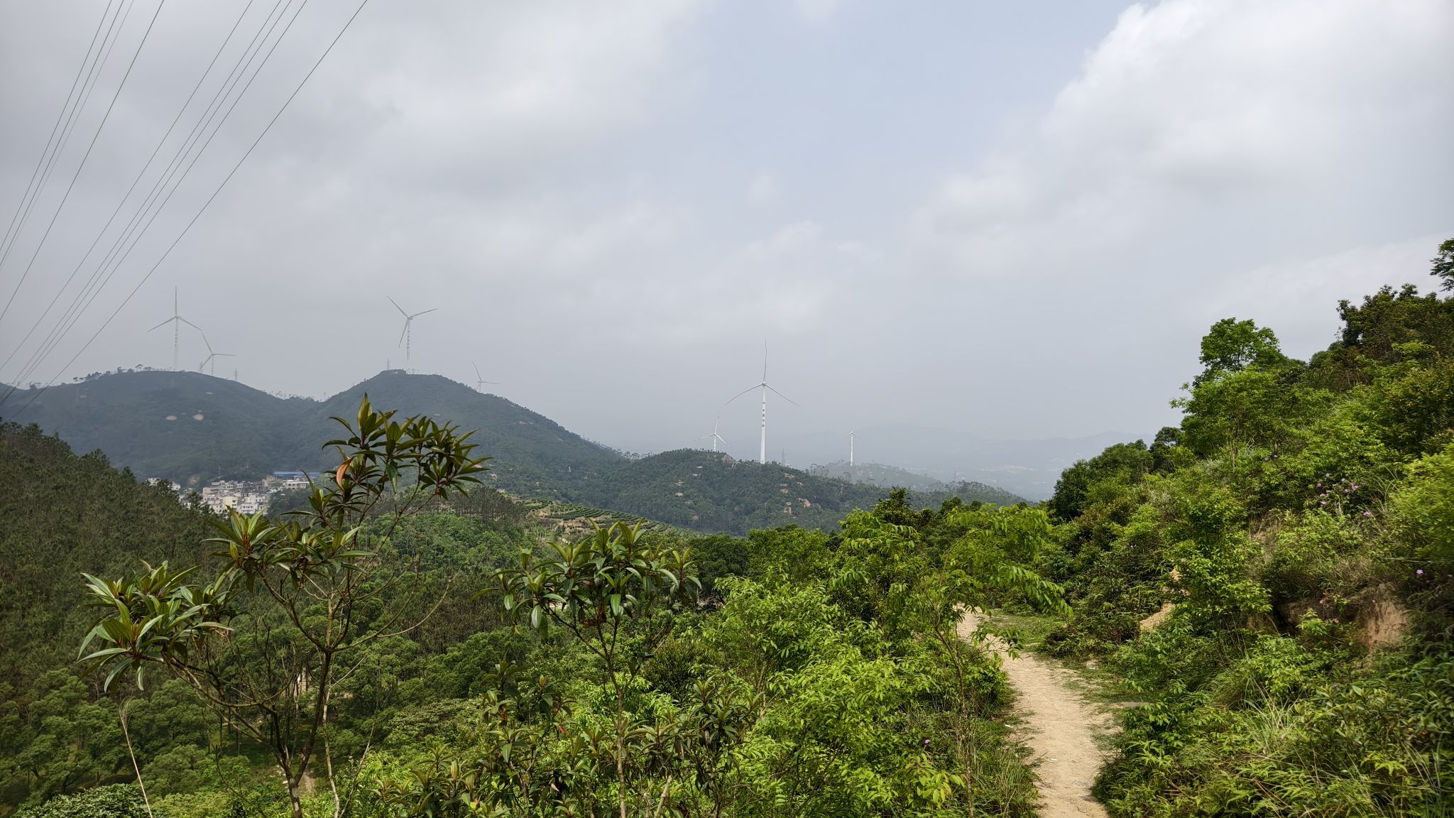 半岛第一峰旅行图片 3