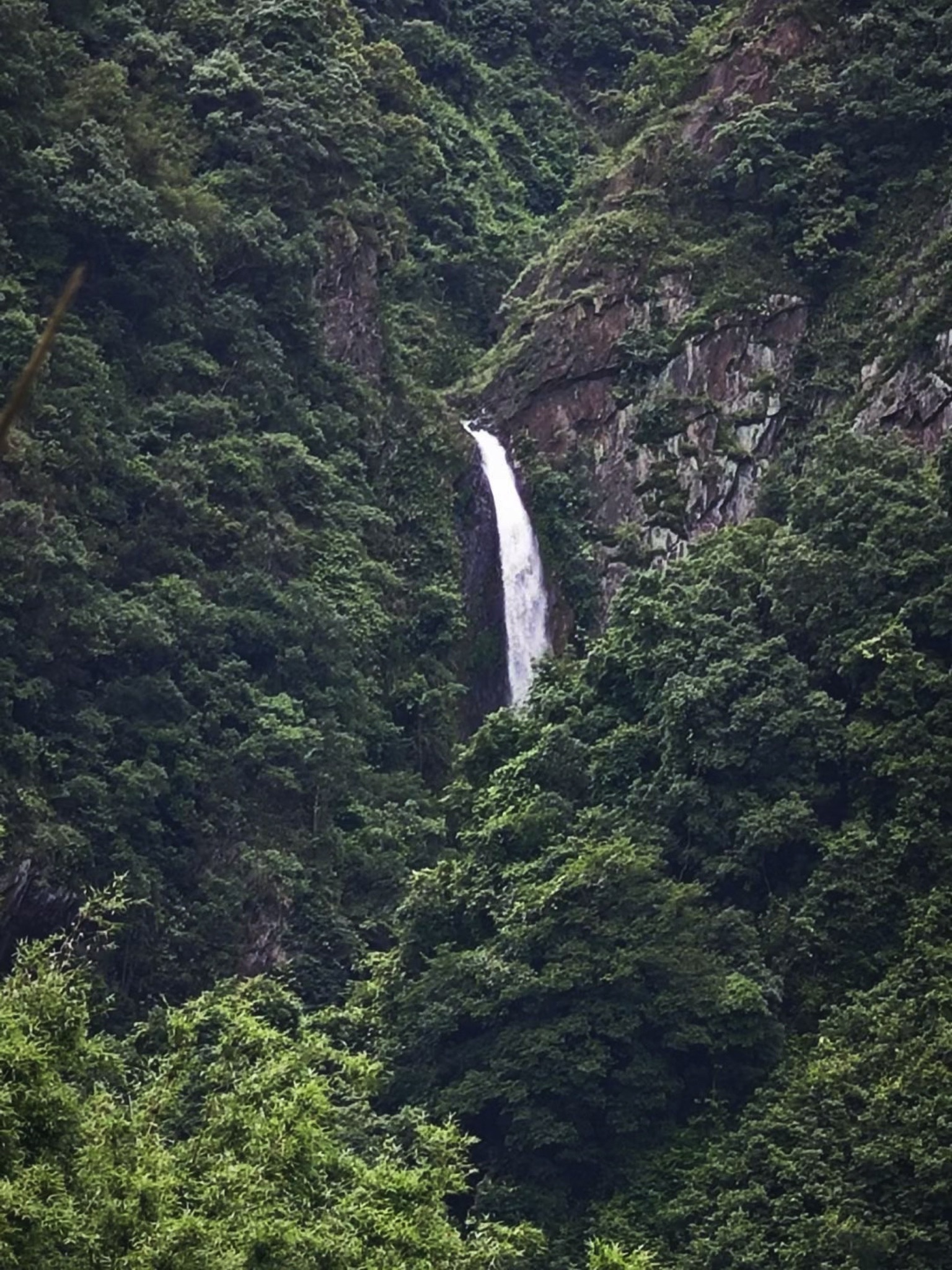 宾阳县思陇镇凤凰瀑布旅行图片 1