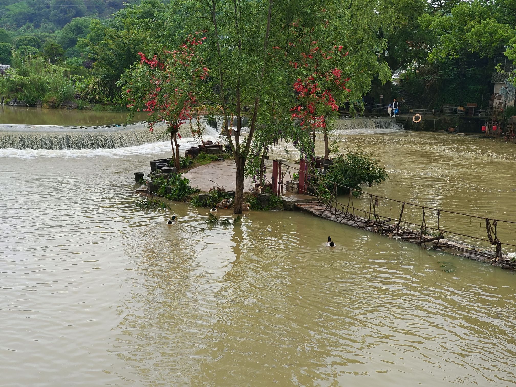 梦里水乡.莲溪庐文旅度假区旅行图片 2