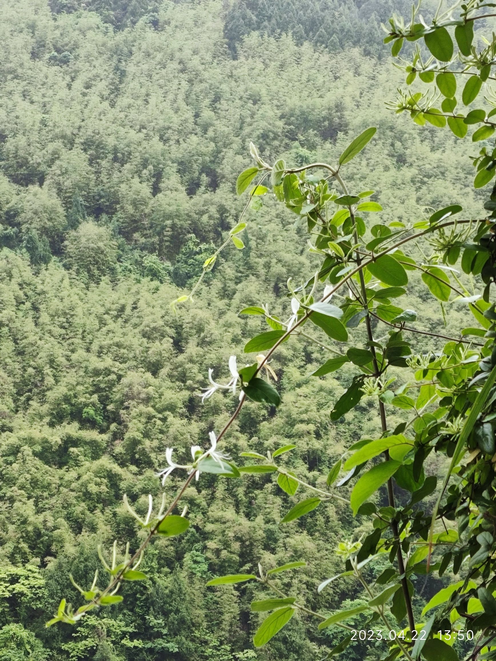 滴翠峡旅行图片 2