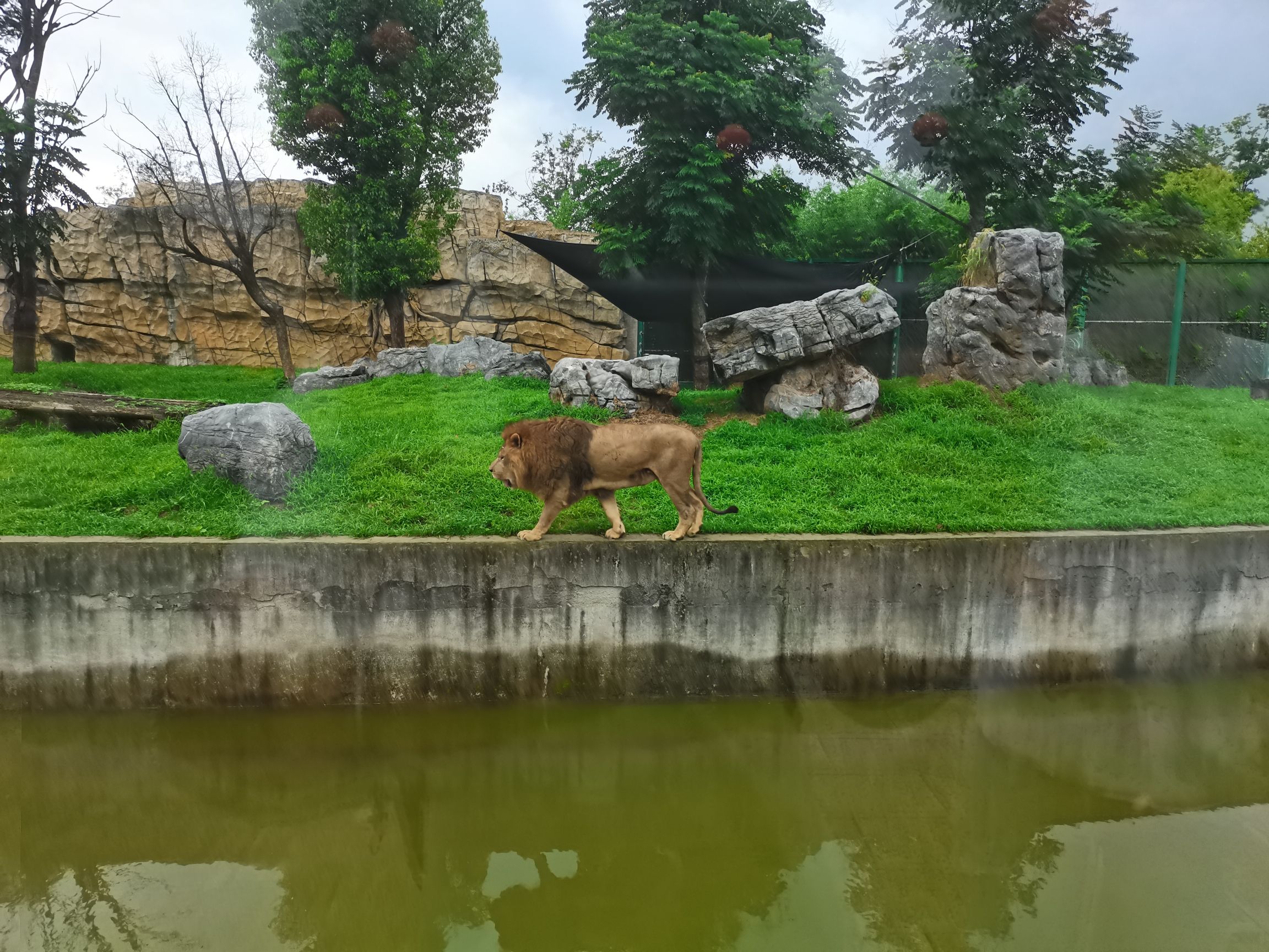 阜阳野生动物园(暂停开放)旅行图片 2